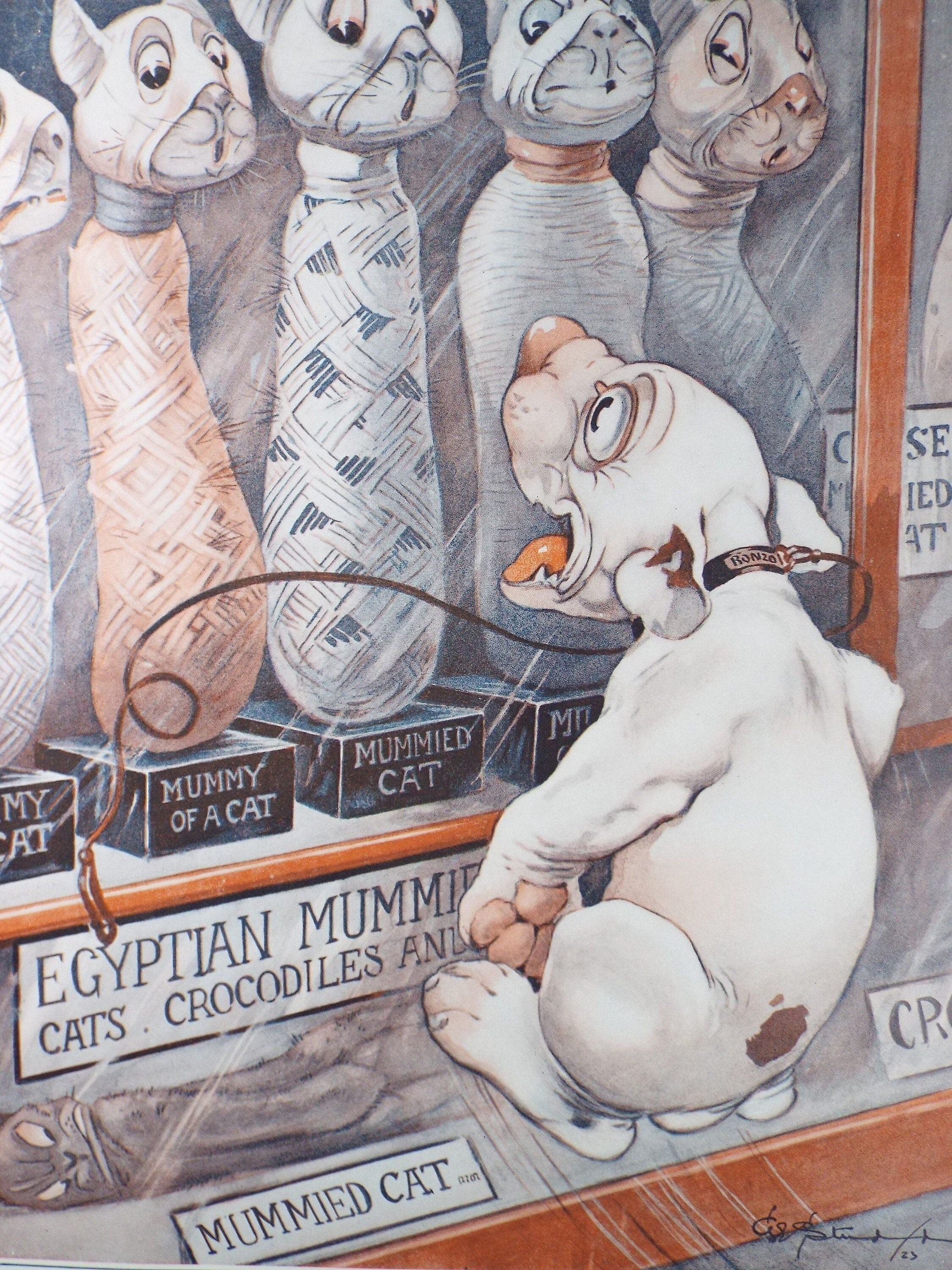 Bonzo the Dog - G. E Studdy, 'Oh, Carnarvon!', Vintage 1920's Print, Large in size, Published by 'The Sketch' magazine