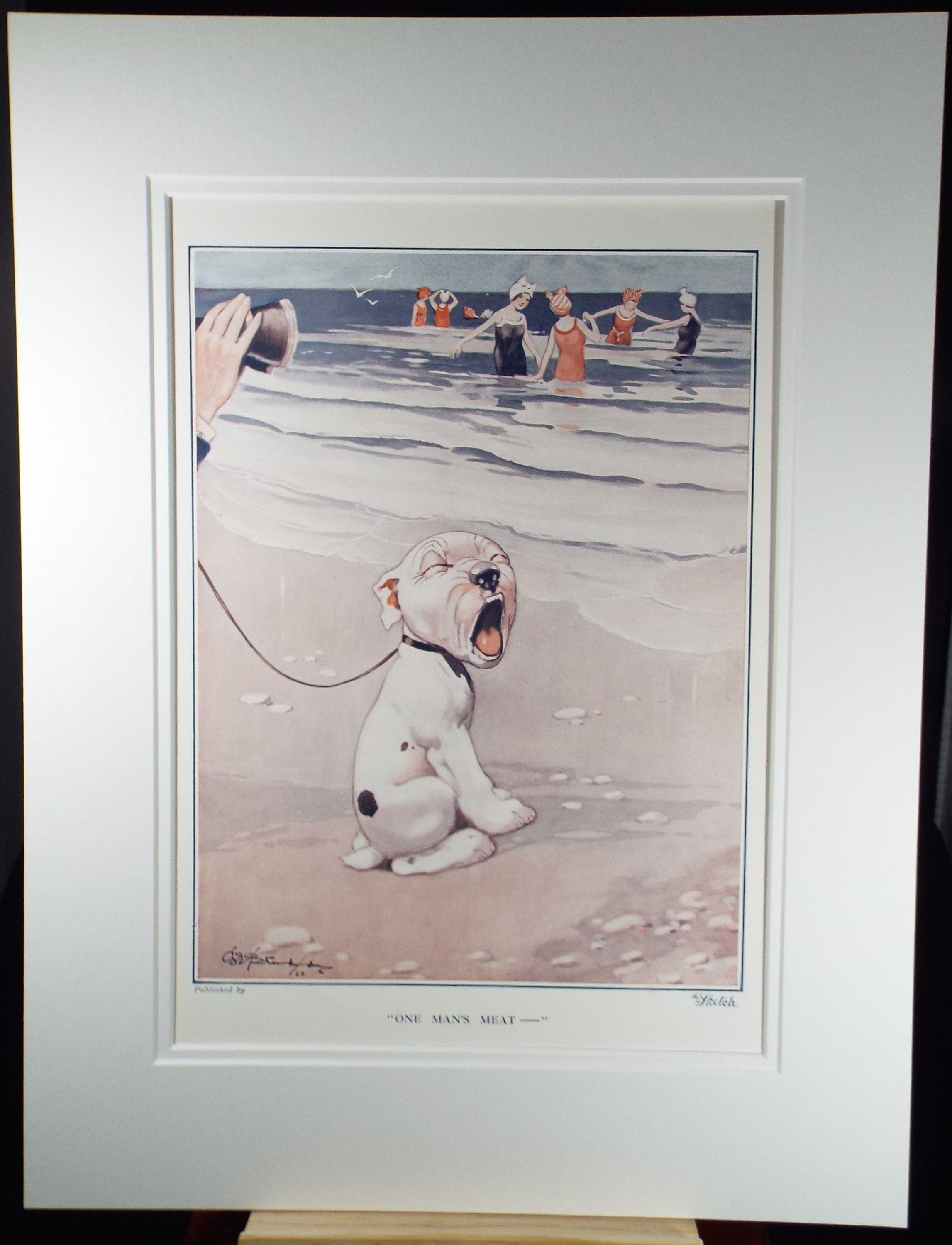 Bonzo the Dog - G. E Studdy, 'One Man's Meat -', Vintage 1920's Print, Large in size, Published by 'The Sketch' magazine