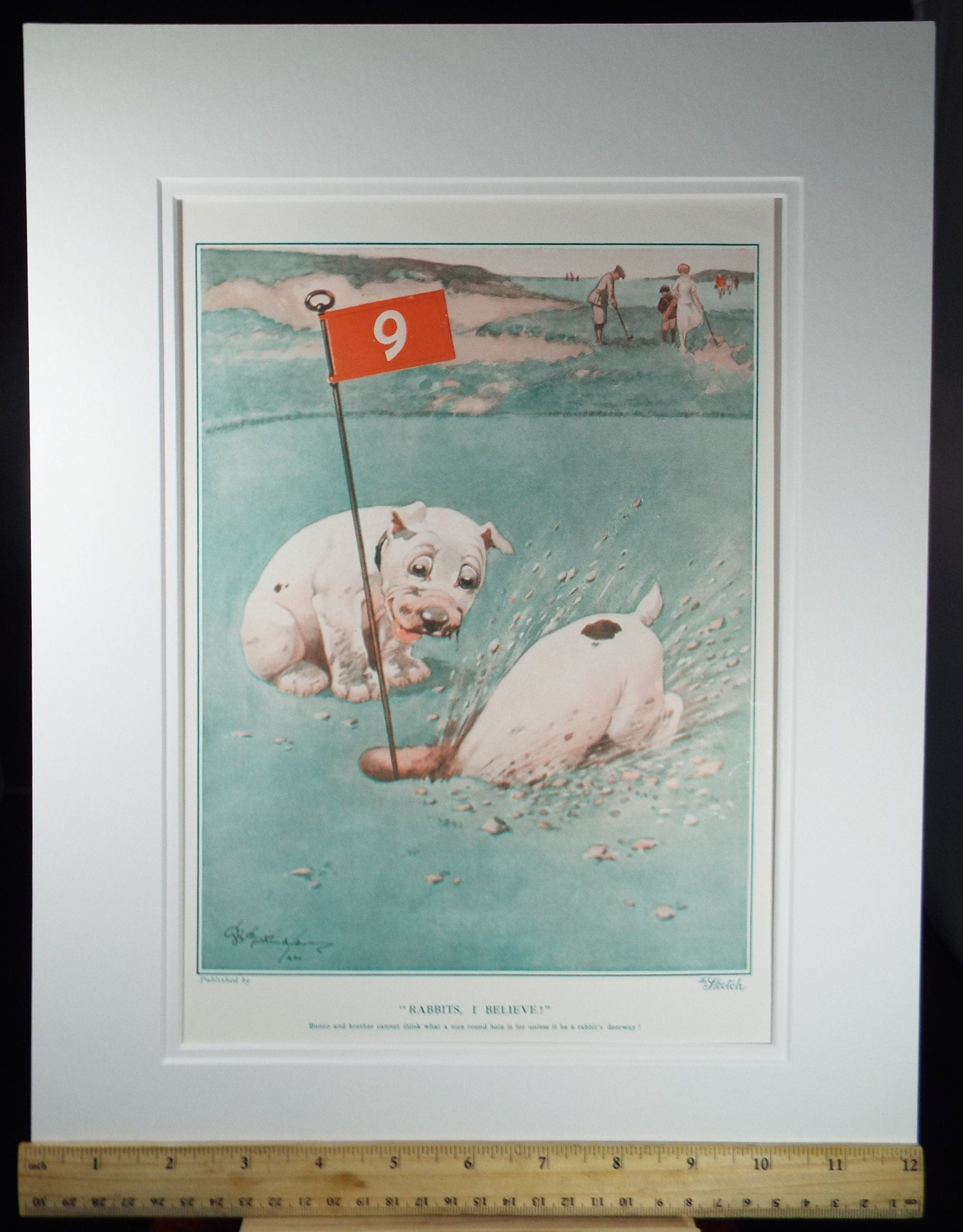 Bonzo the Dog - G. E Studdy, 'Rabbits, I Believe!', Vintage 1920's Print, Large in size, Published by 'The Sketch' magazine