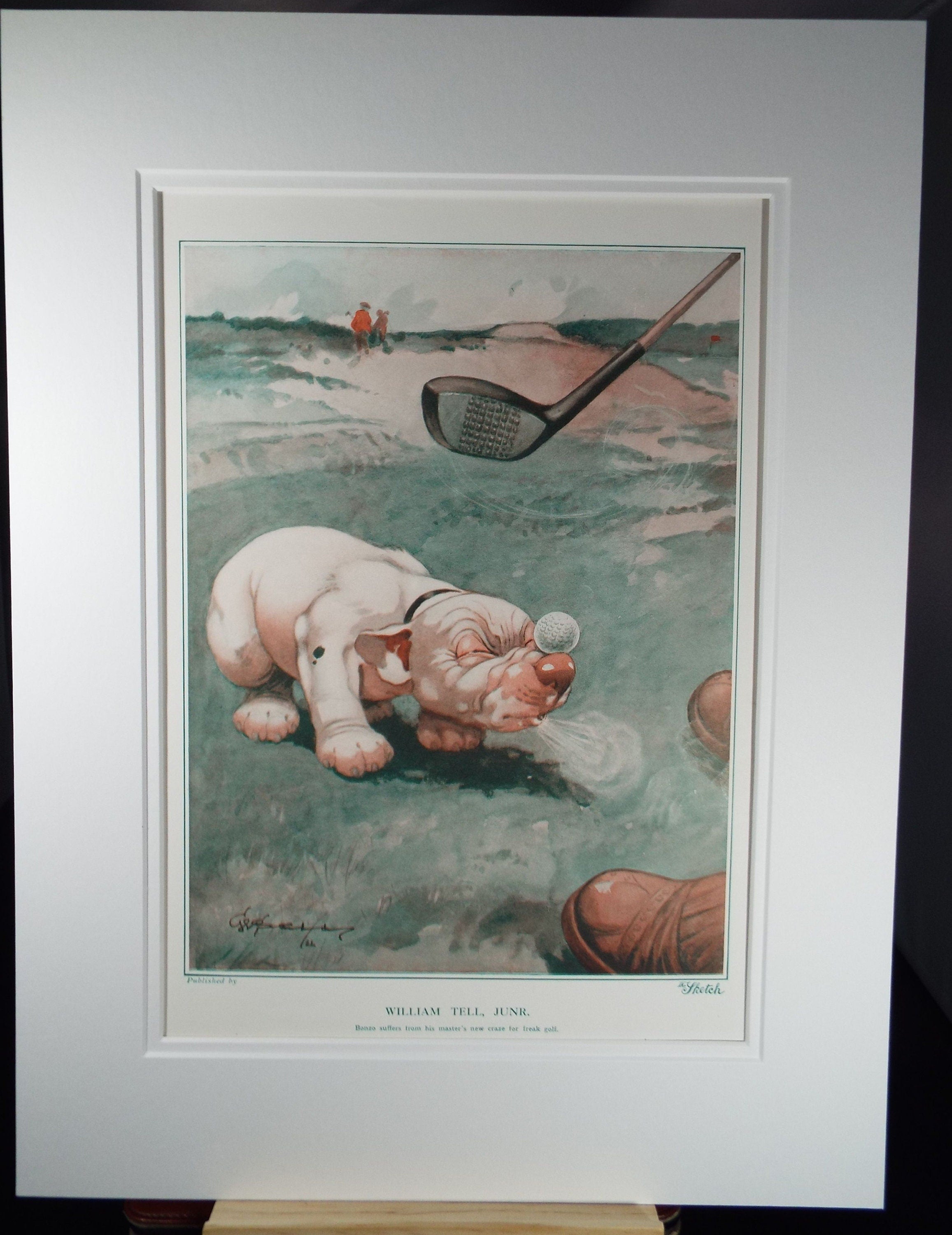 Bonzo the Dog - G. E Studdy, 'William Tell, Junr.', Vintage 1920's Print, Large in size, Published by 'The Sketch' magazine