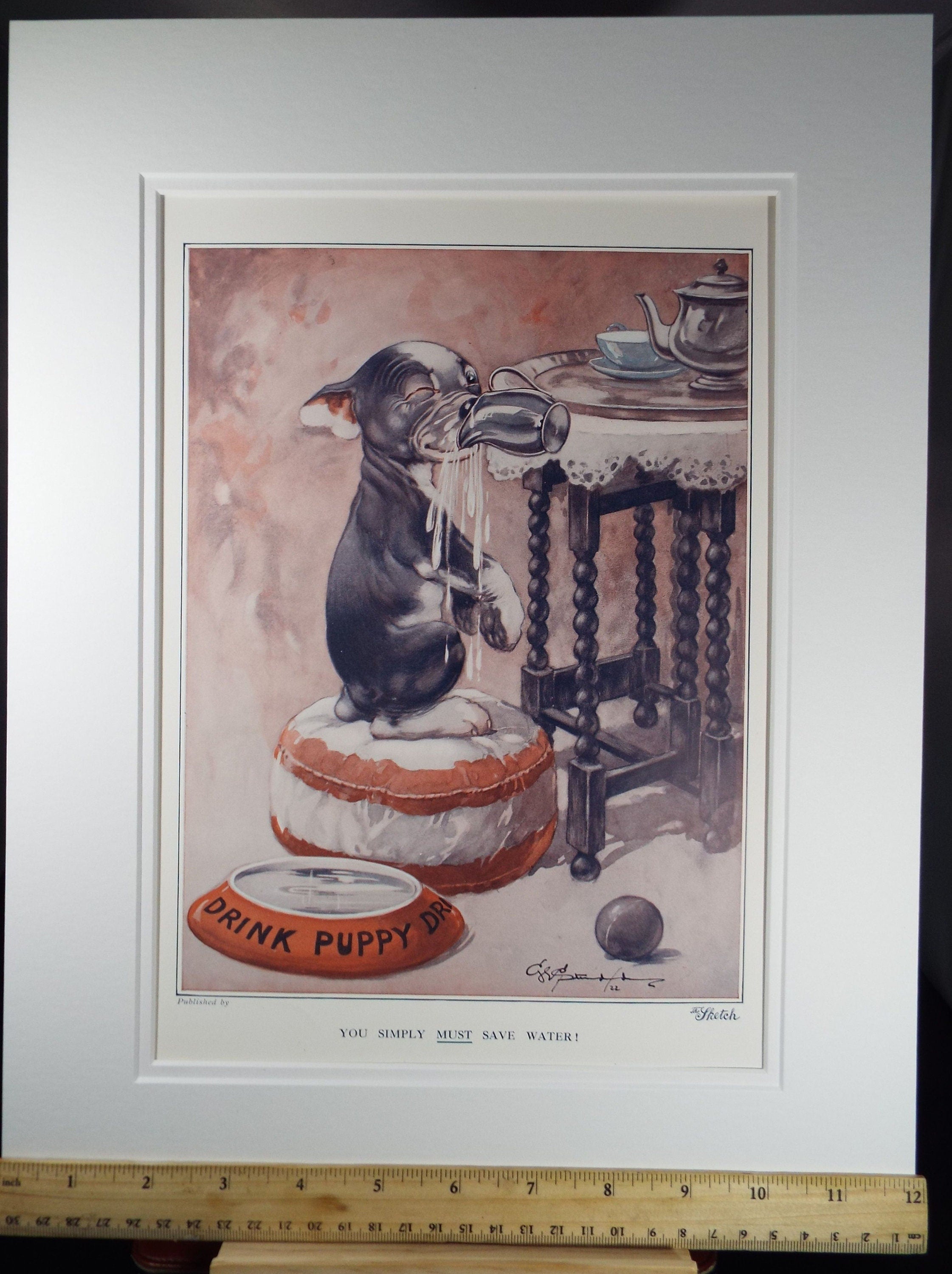 Bonzo the Dog - G. E Studdy, 'You simply must save water', Vintage 1920's Print, Large in size, Published by 'The Sketch' magazine