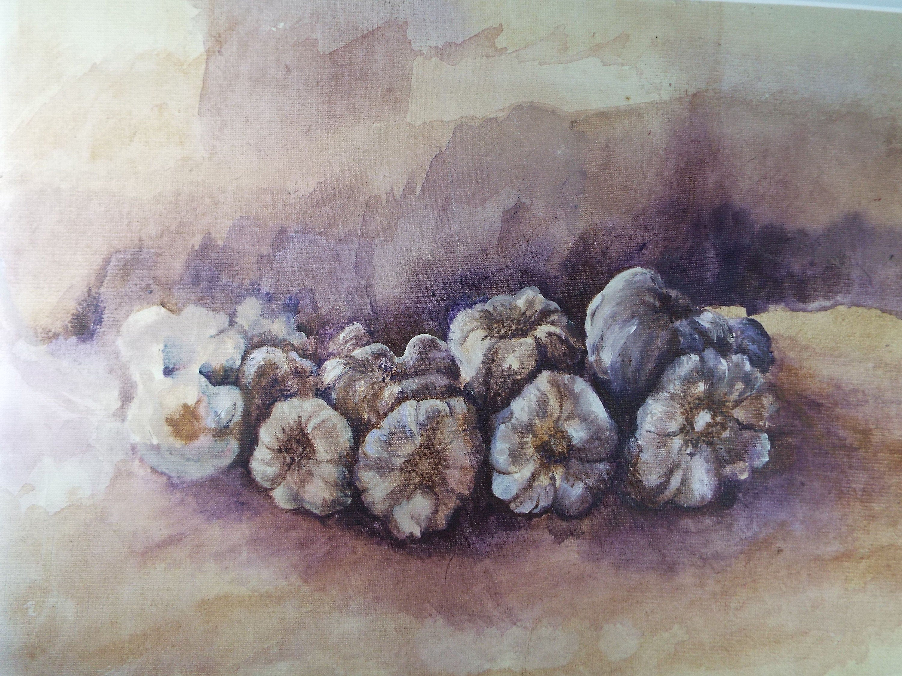 Original Watercolour & Gouache on Canvas Paper, 'Still life of Garlic' 1980's, Olive Van Klaveren (20th Century)