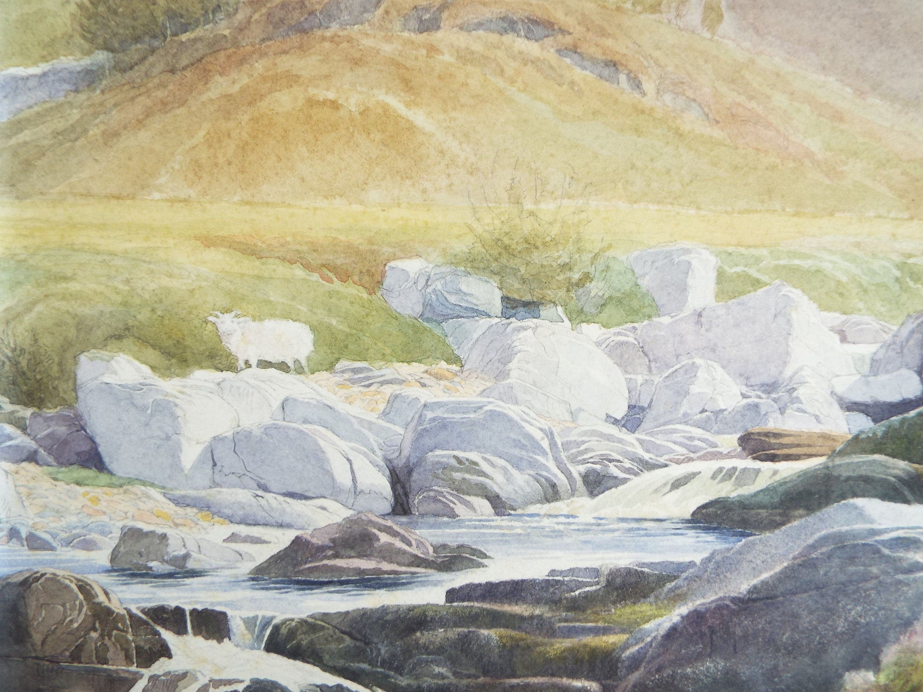 Original Watercolour,  'Sheep on a Riverbank', early 20th Century, Artist Unknown