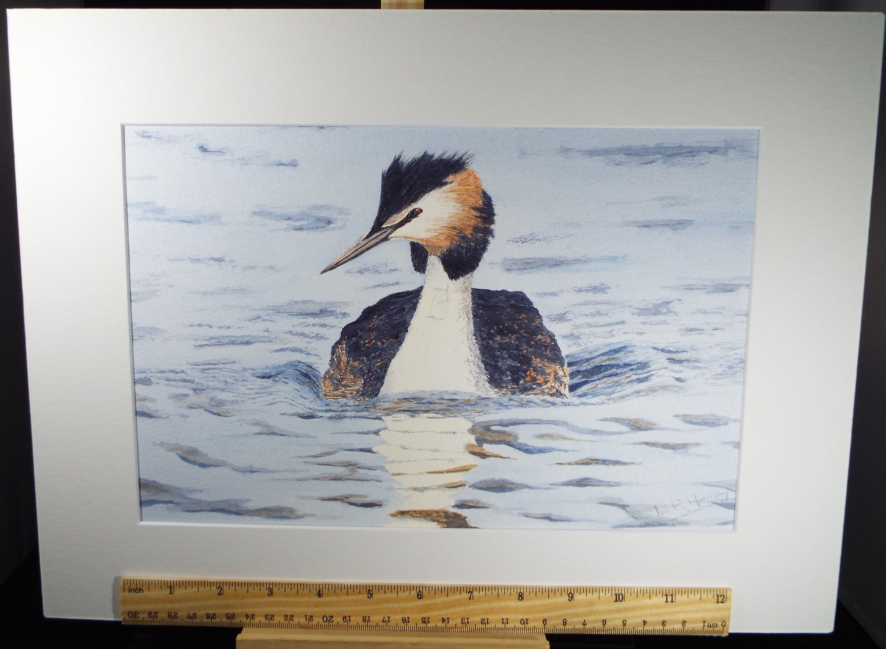 Original watercolour, 'Great Crested Grebe', Circa 1980's, Ian R Hornsby