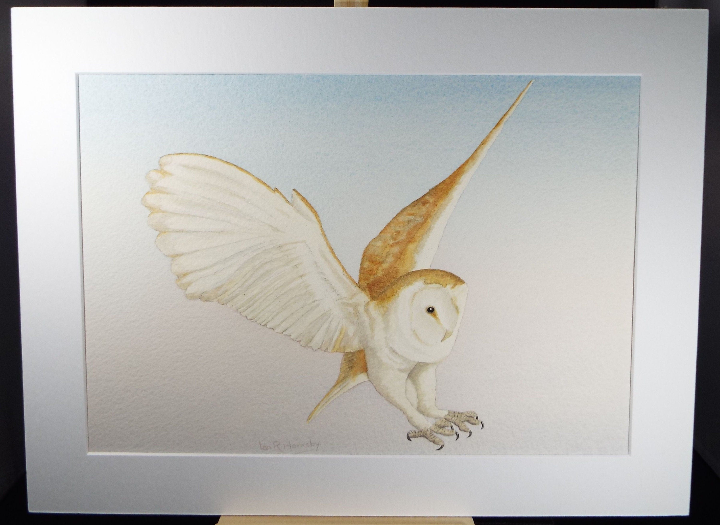 Original watercolour, 'Barn Owl', Circa 1980's, Ian R Hornsby