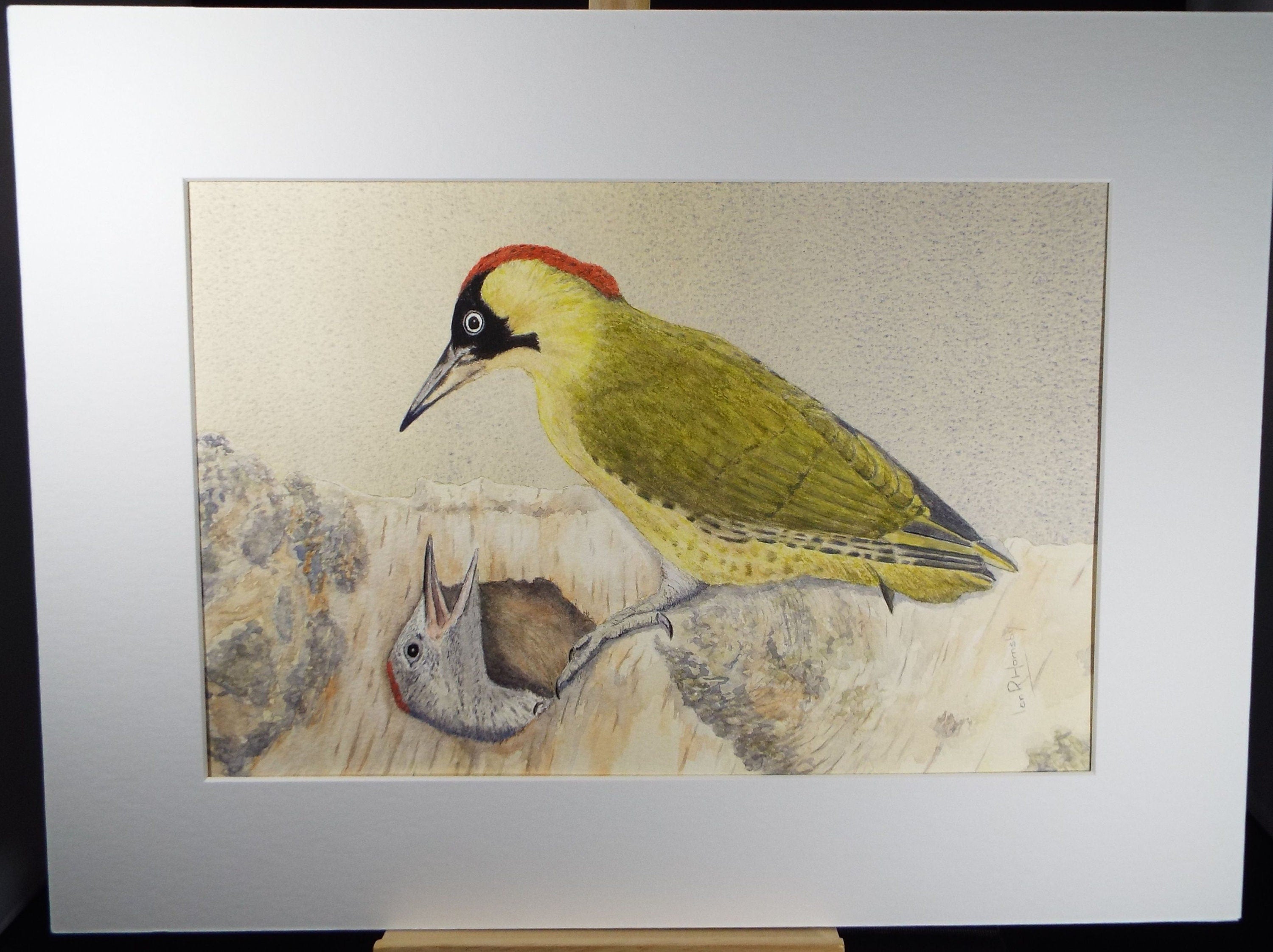 Original watercolour, 'Green Woodpecker', Circa 1980's, Ian R Hornsby