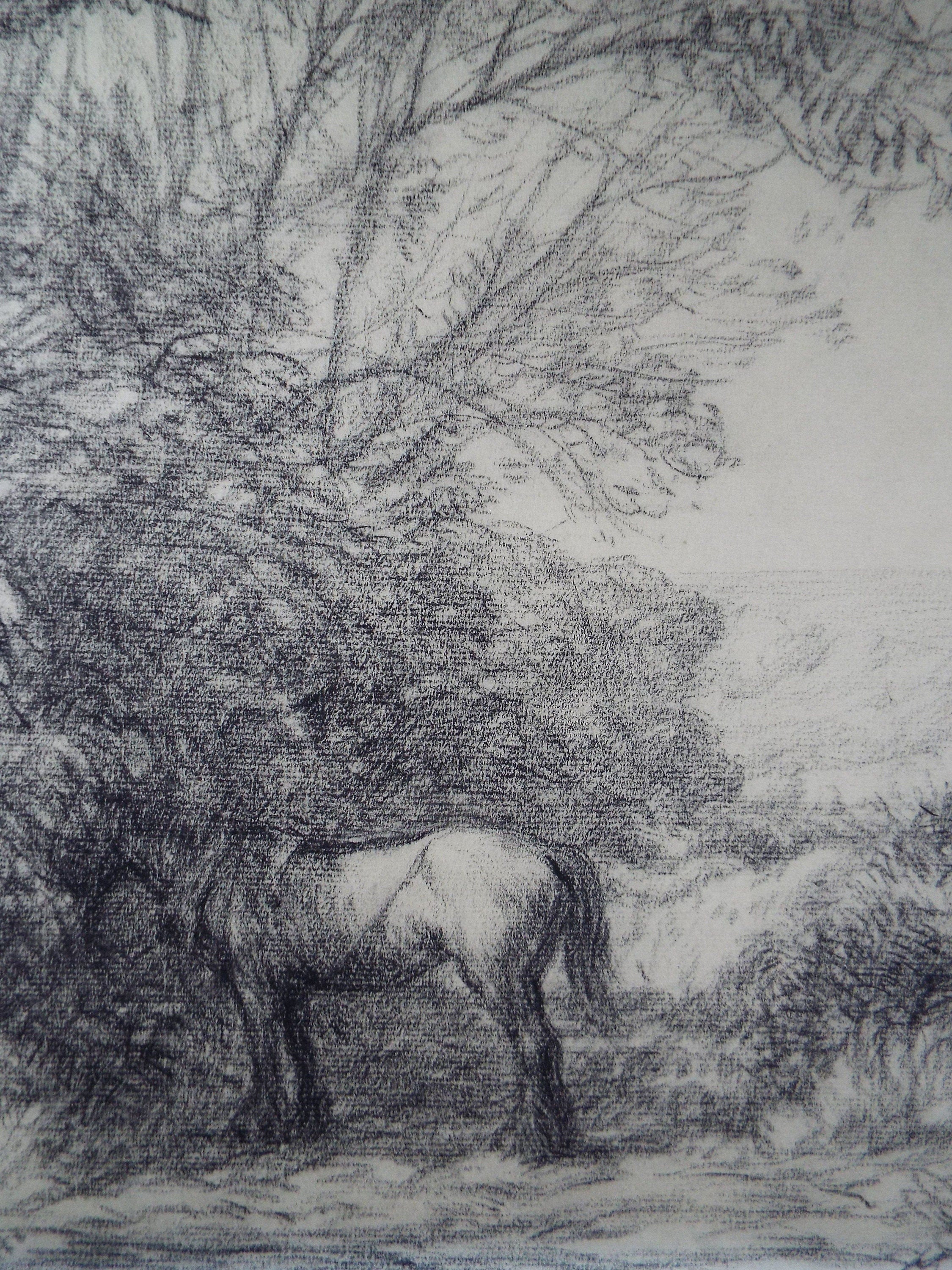 Original Charcoal Drawing 'Heavy Horse in a Country Lane', Circa 1930's, Hubert Williams (20th Century, British)