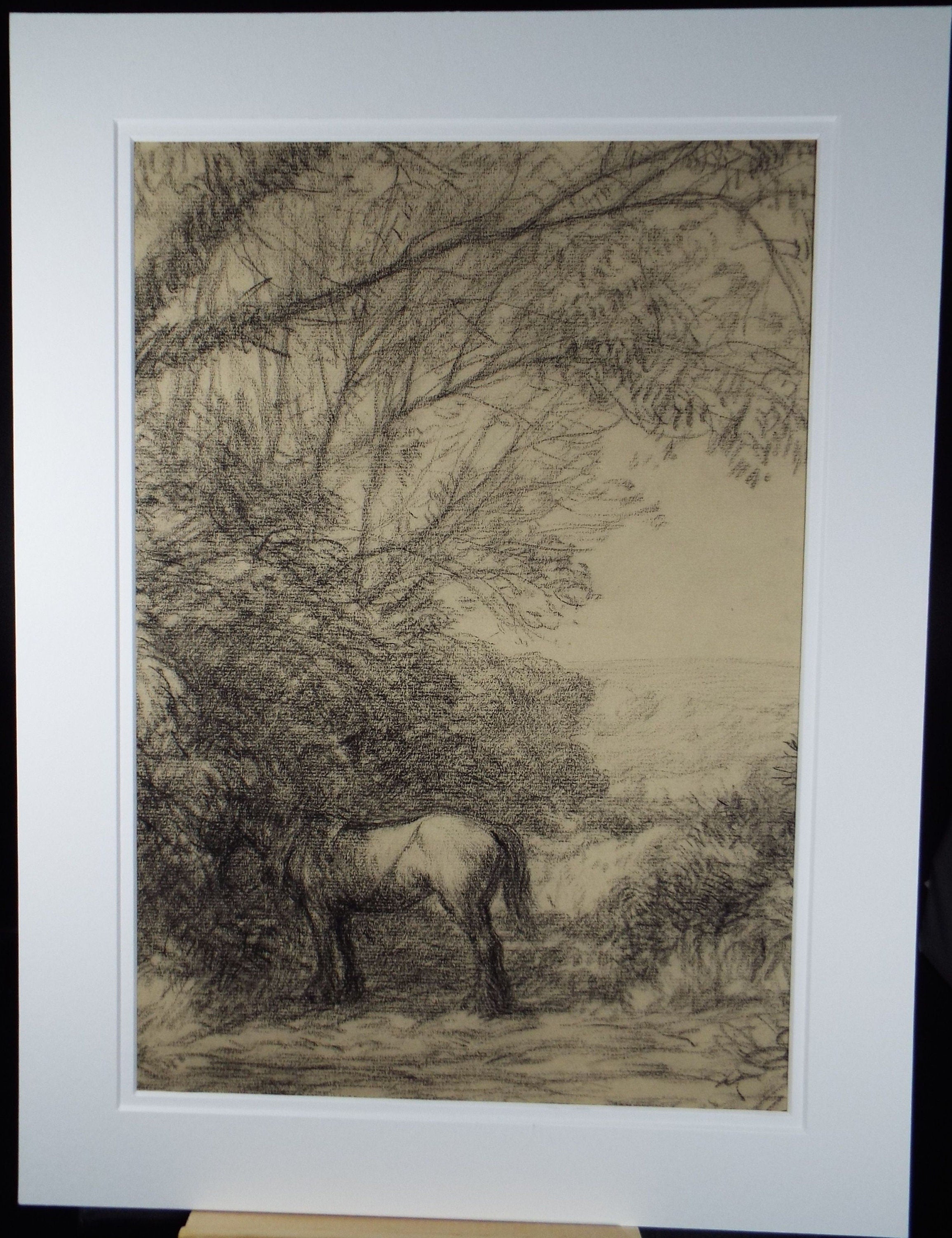 Original Charcoal Drawing 'Heavy Horse in a Country Lane', Circa 1930's, Hubert Williams (20th Century, British)