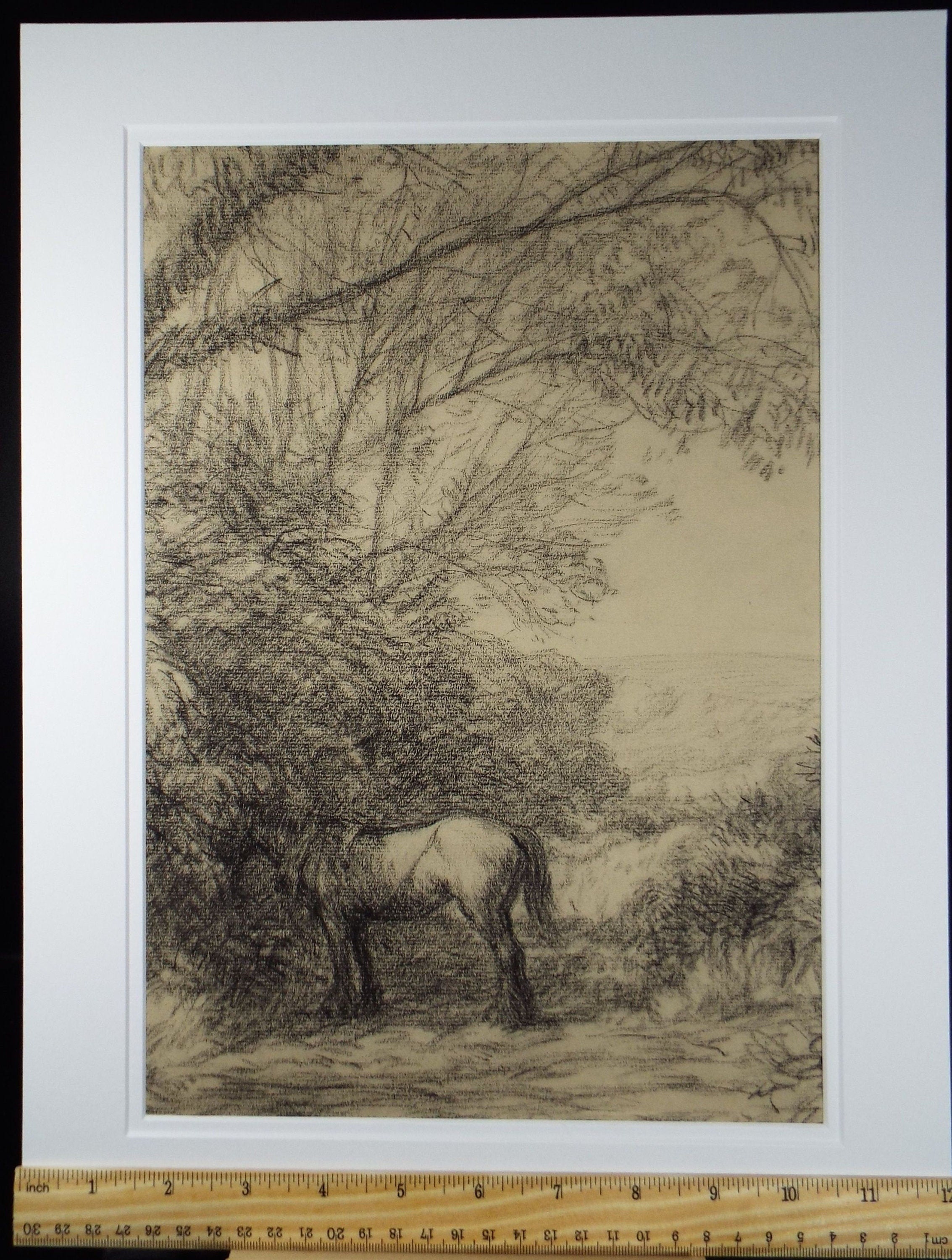 Original Charcoal Drawing 'Heavy Horse in a Country Lane', Circa 1930's, Hubert Williams (20th Century, British)