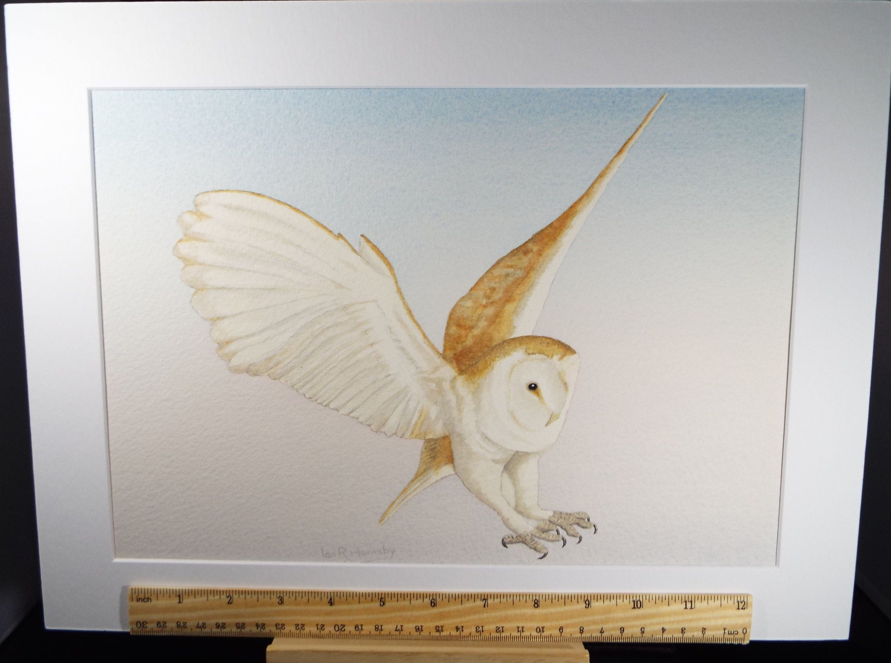 Original watercolour, 'Barn Owl', Circa 1980's, Ian R Hornsby