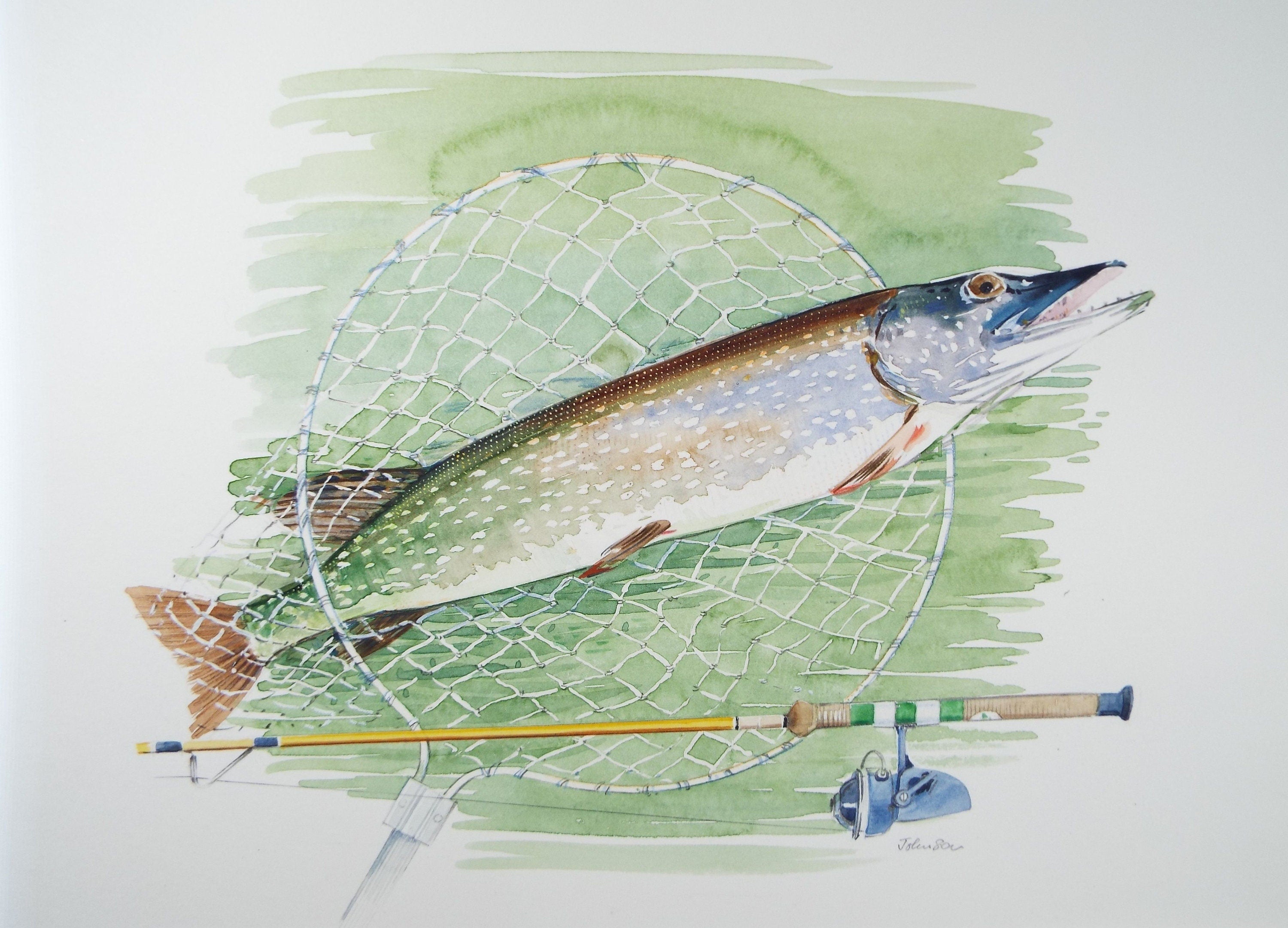 Original Watercolour 'Pike in a Net', Circa 1980's, Ken Johnson (20th Century, British)