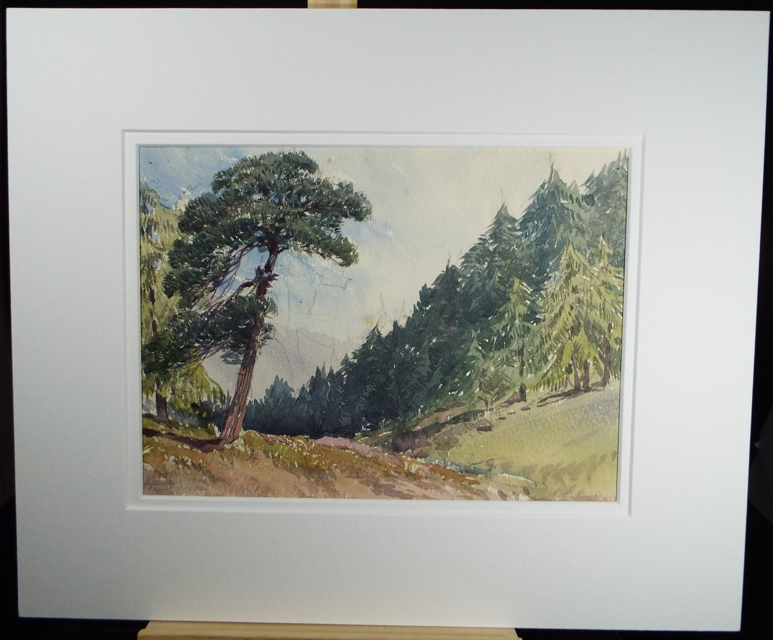 Original Watercolour, 'A study of Pine Trees', c1880, Artist Unknown