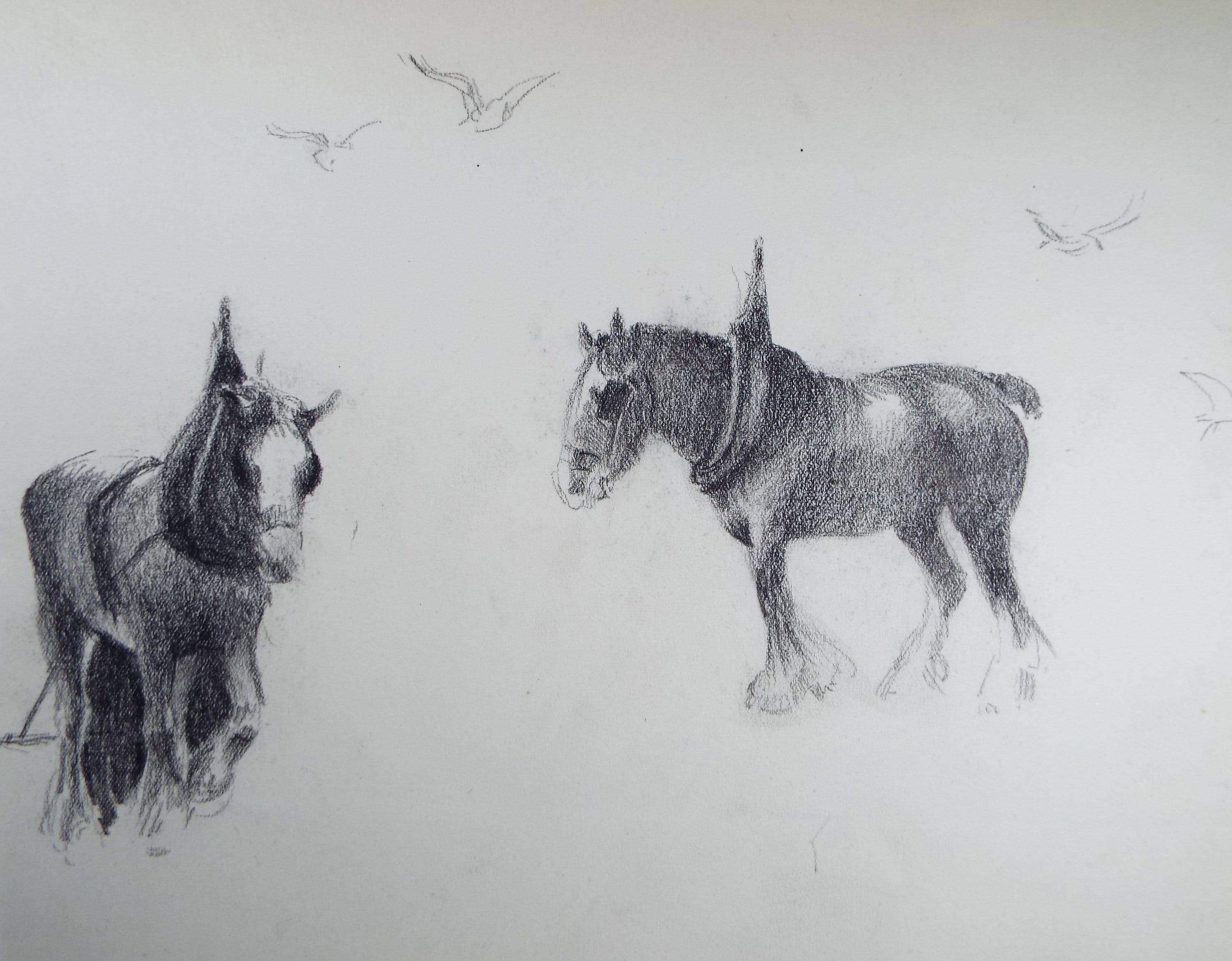 Original Pencil Drawing, 'Study of Heavy Horses', Circa 1920's, Nan C. Livingstone (1876-1952)