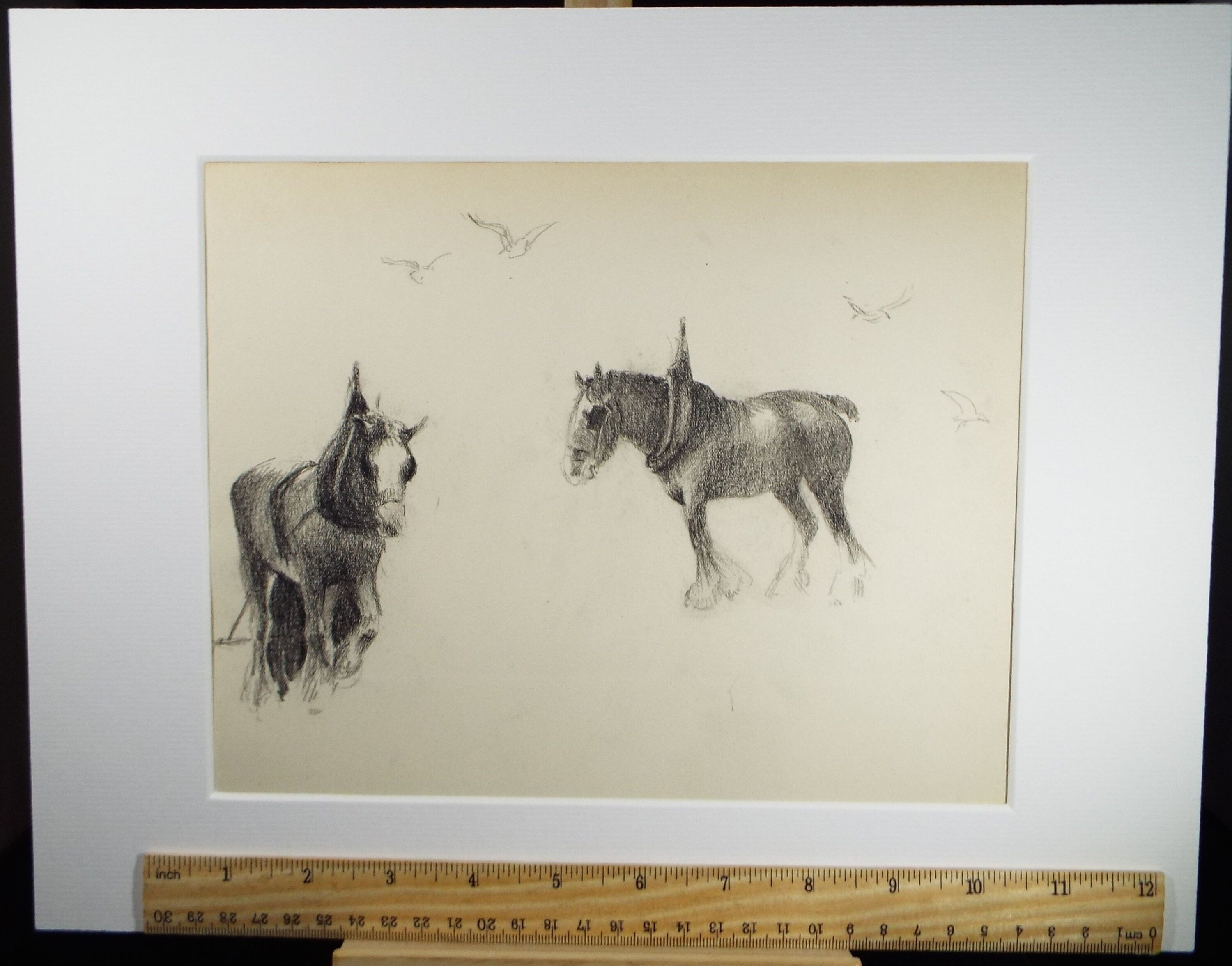 Original Pencil Drawing, 'Study of Heavy Horses', Circa 1920's, Nan C. Livingstone (1876-1952)