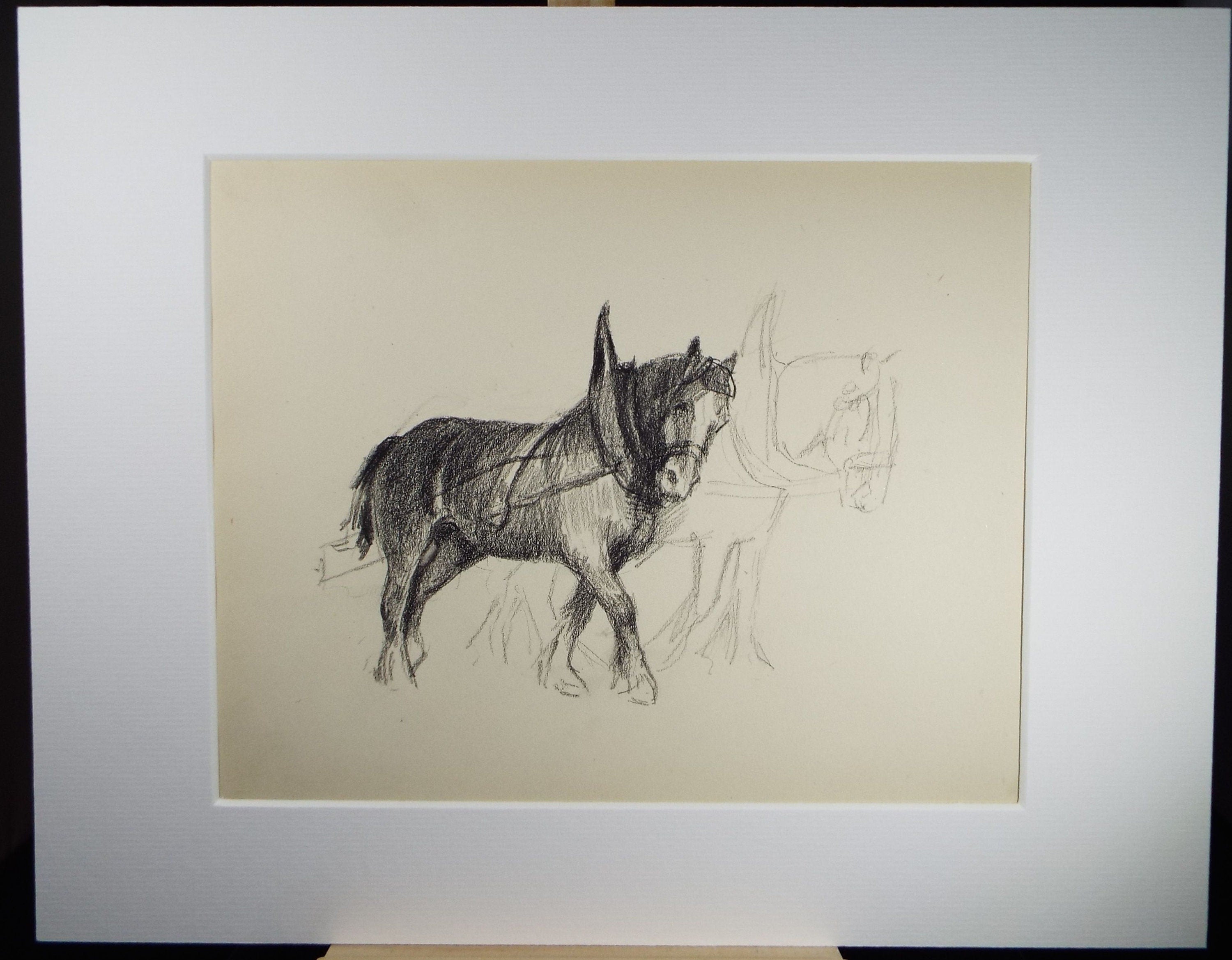 Original Pencil Drawing, 'Study of a Heavy Horse', Circa 1920's, Nan C. Livingstone (1876-1952)