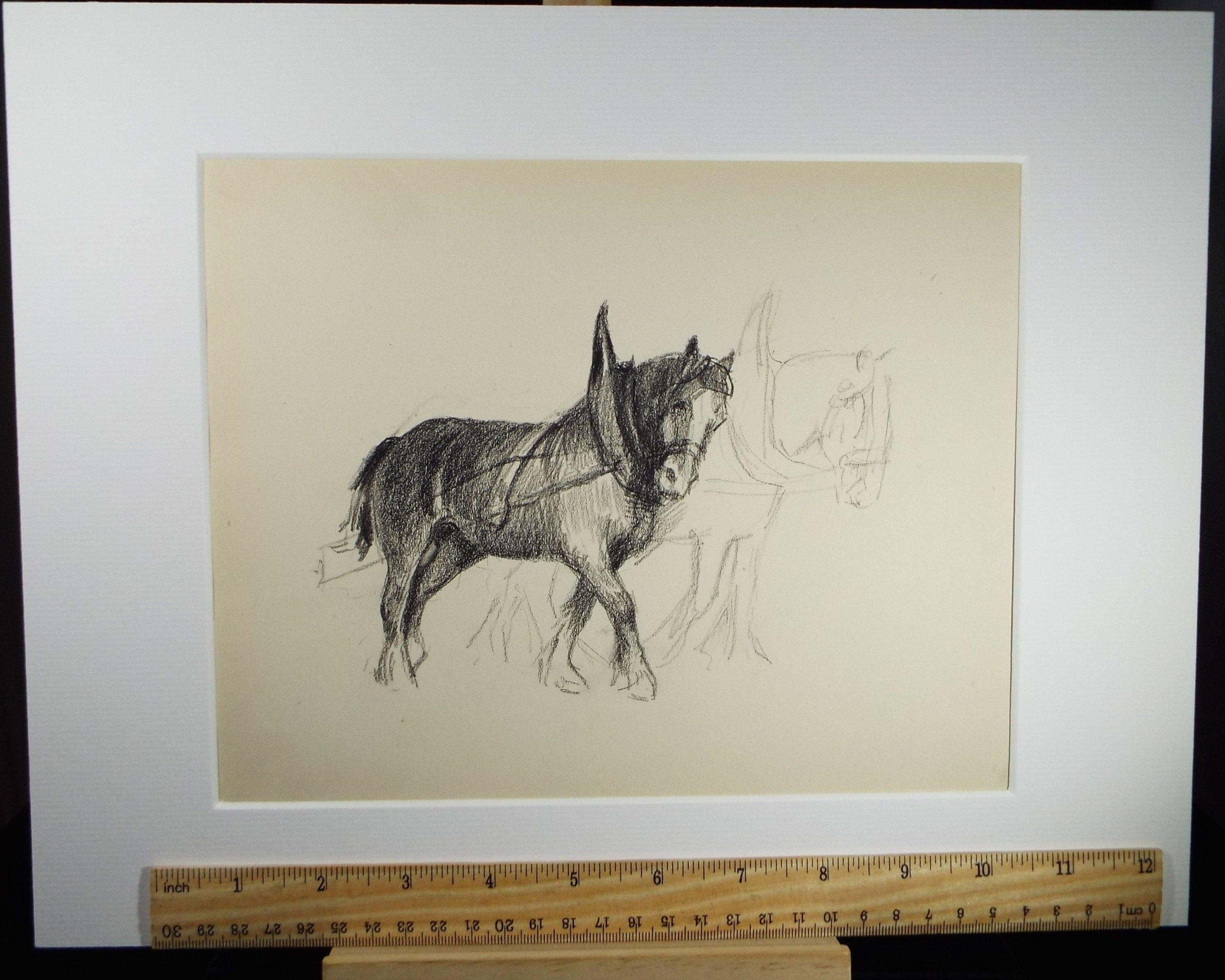 Original Pencil Drawing, 'Study of a Heavy Horse', Circa 1920's, Nan C. Livingstone (1876-1952)