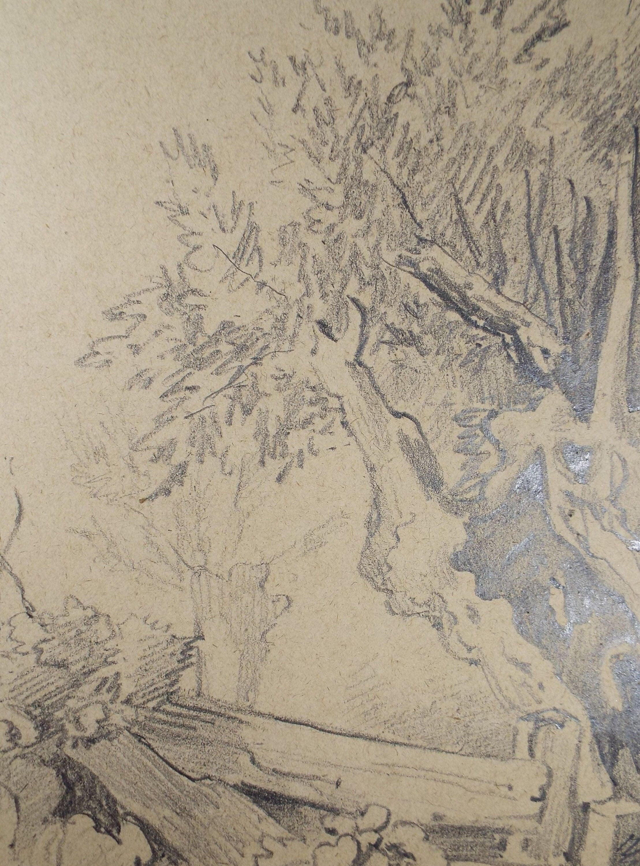 Original Pencil Drawing, 'Woodland Study', Circa 1883, Artist Unknown