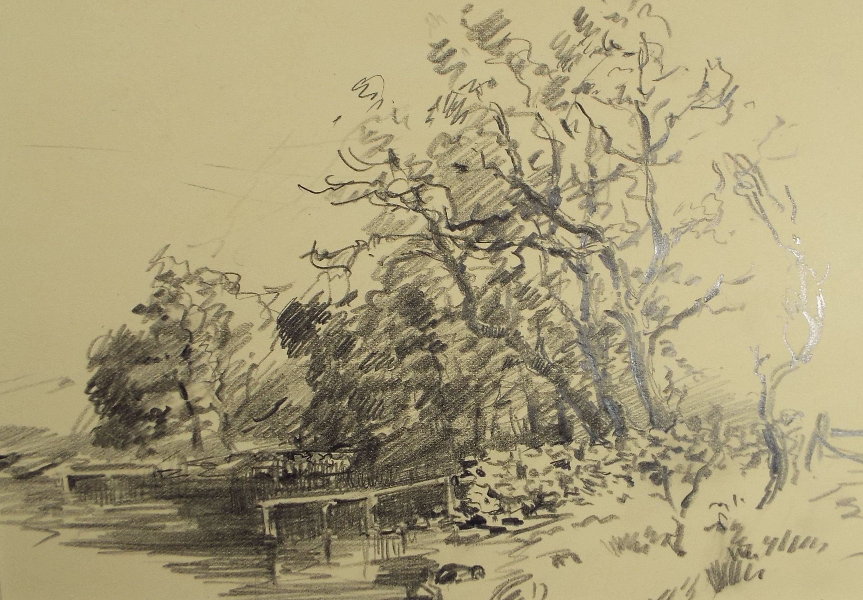 Original Pencil Drawing, 'Tree lined Lane', Circa 1920's, Nan C. Livingstone (1876-1952)