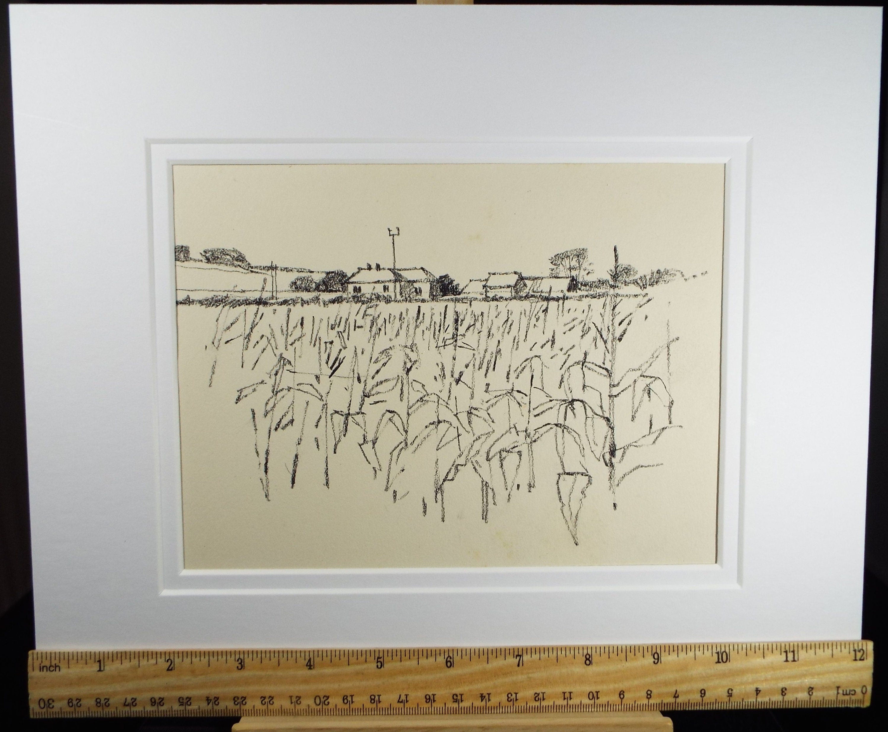 Original Charcoal & Pencil Drawing 'Maize Field, Berwick', c1990's, Norman James Battershill (1922-2010)