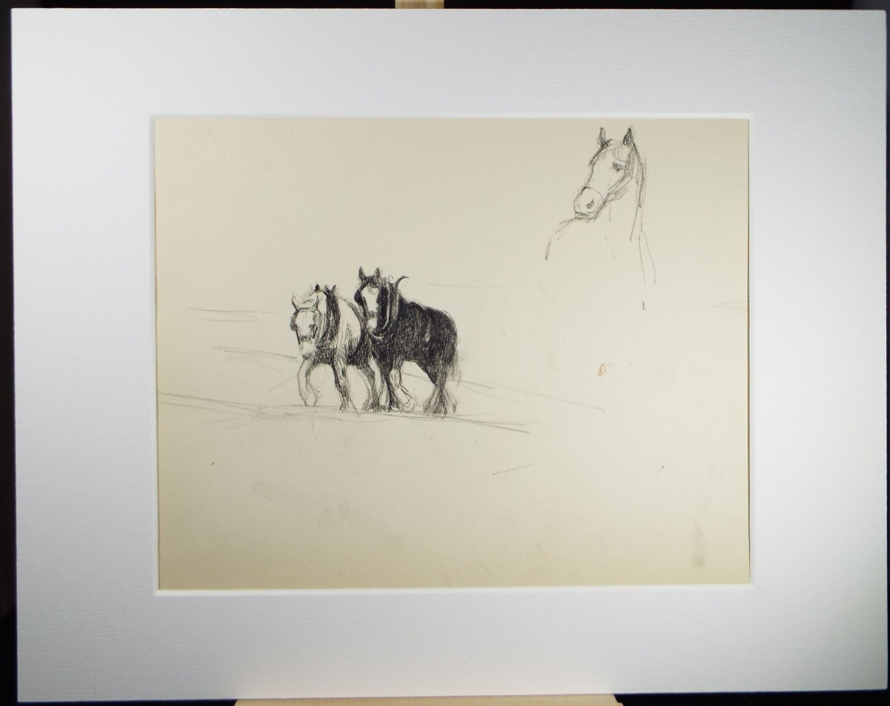 Original Pencil Drawing, 'Study of Heavy Horses', Circa 1920's, Nan C. Livingstone (1876-1952)