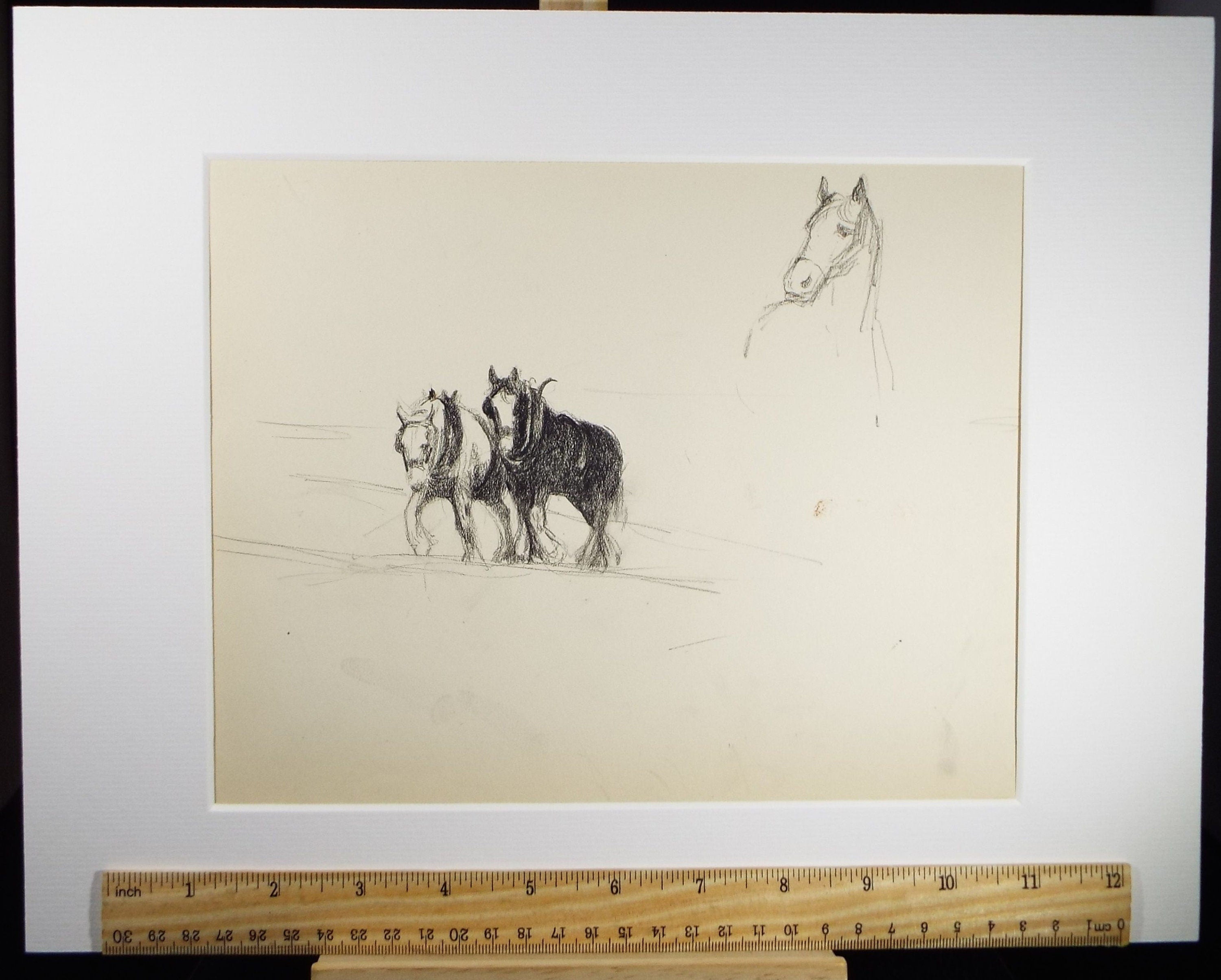 Original Pencil Drawing, 'Study of Heavy Horses', Circa 1920's, Nan C. Livingstone (1876-1952)