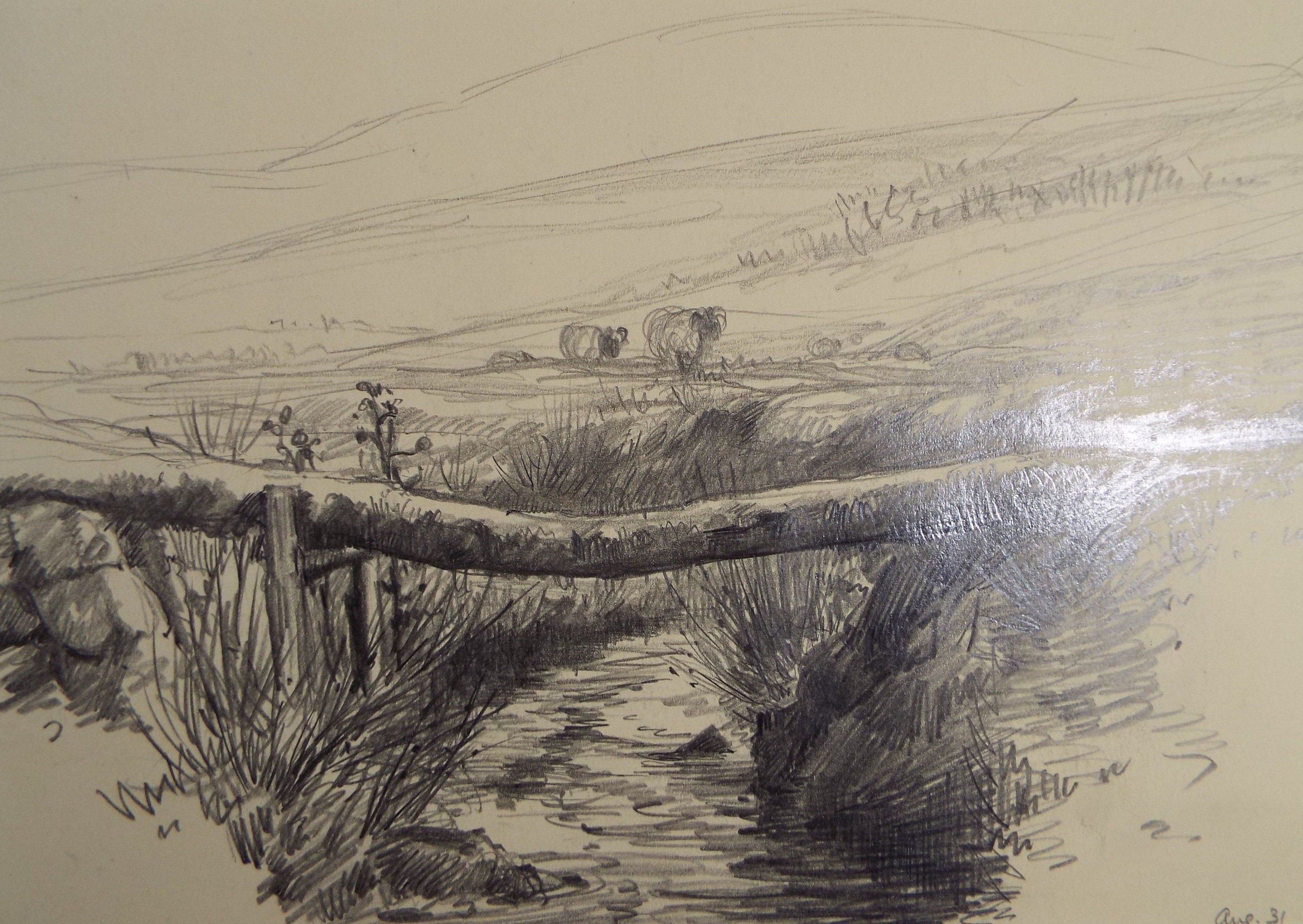 Original Pencil Drawing, 'Sheep by a Brook', Circa 1920's, Nan C. Livingstone (1876-1952)