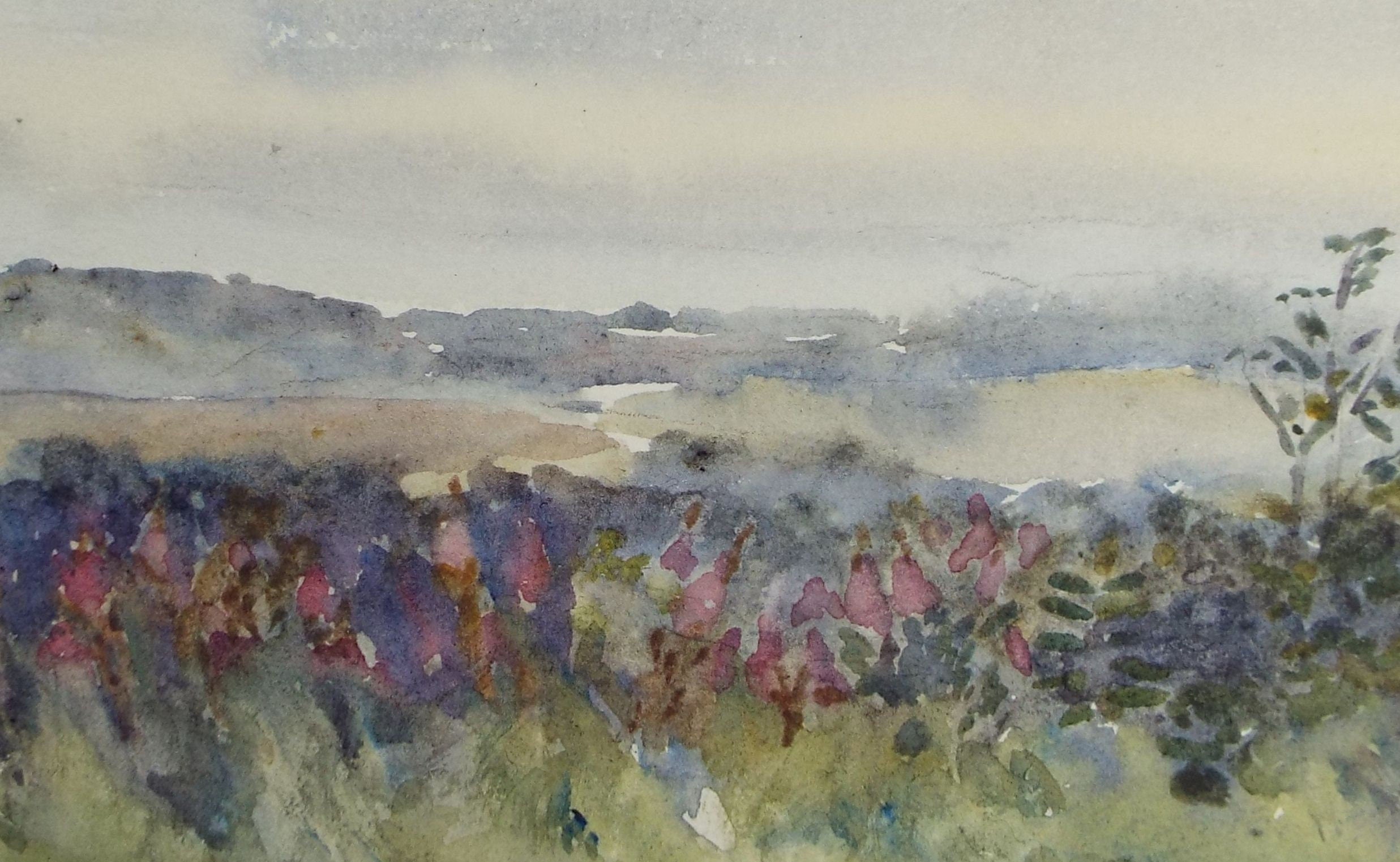 Original Watercolour on Paper, 'Moorland Landscape', early 20th Century, Artist Unknown