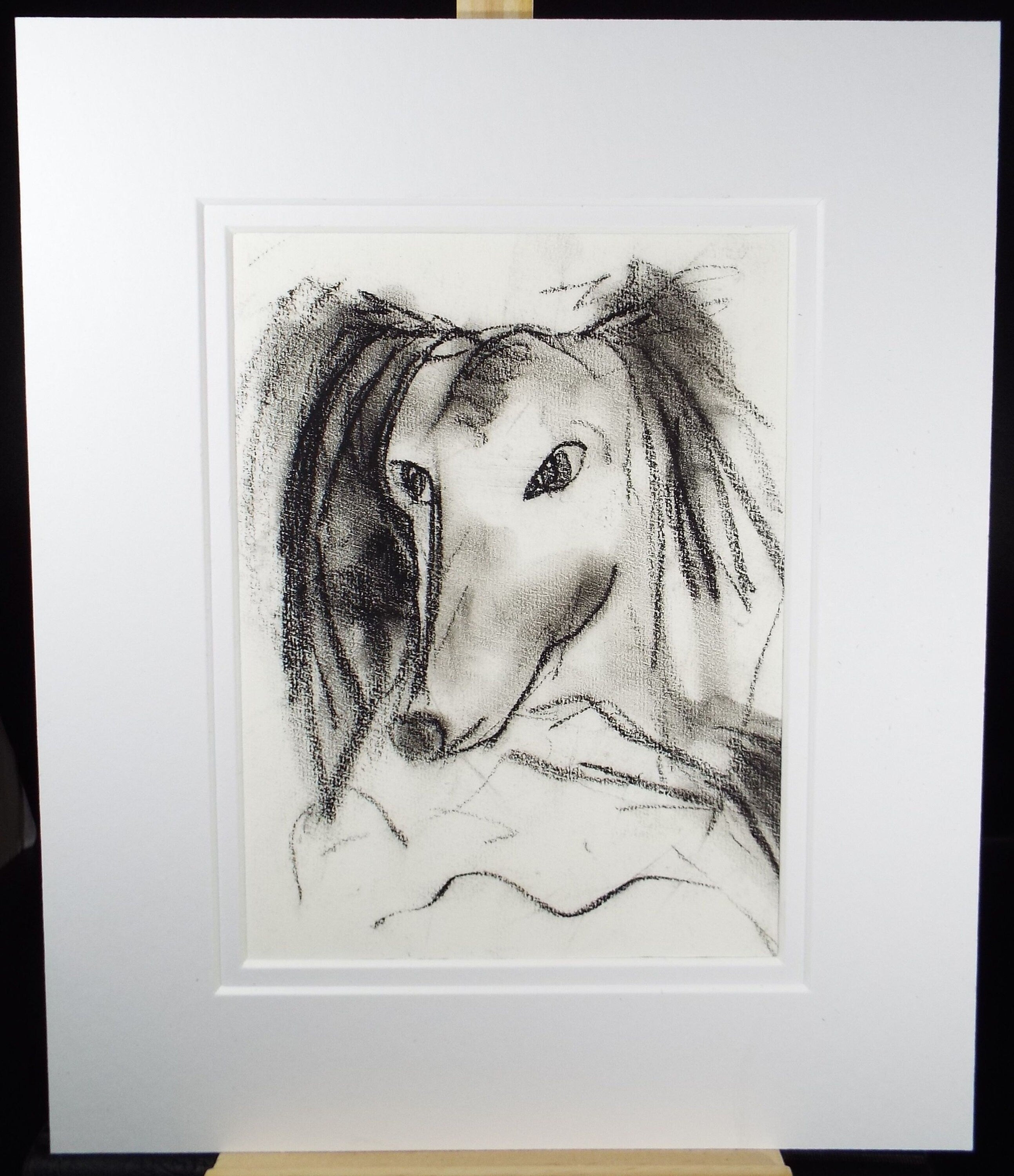 Barbara Karn (b1949) Original Charcoal Drawing ,'Portrait of a Hound', Circa 2000, Signed below the mount