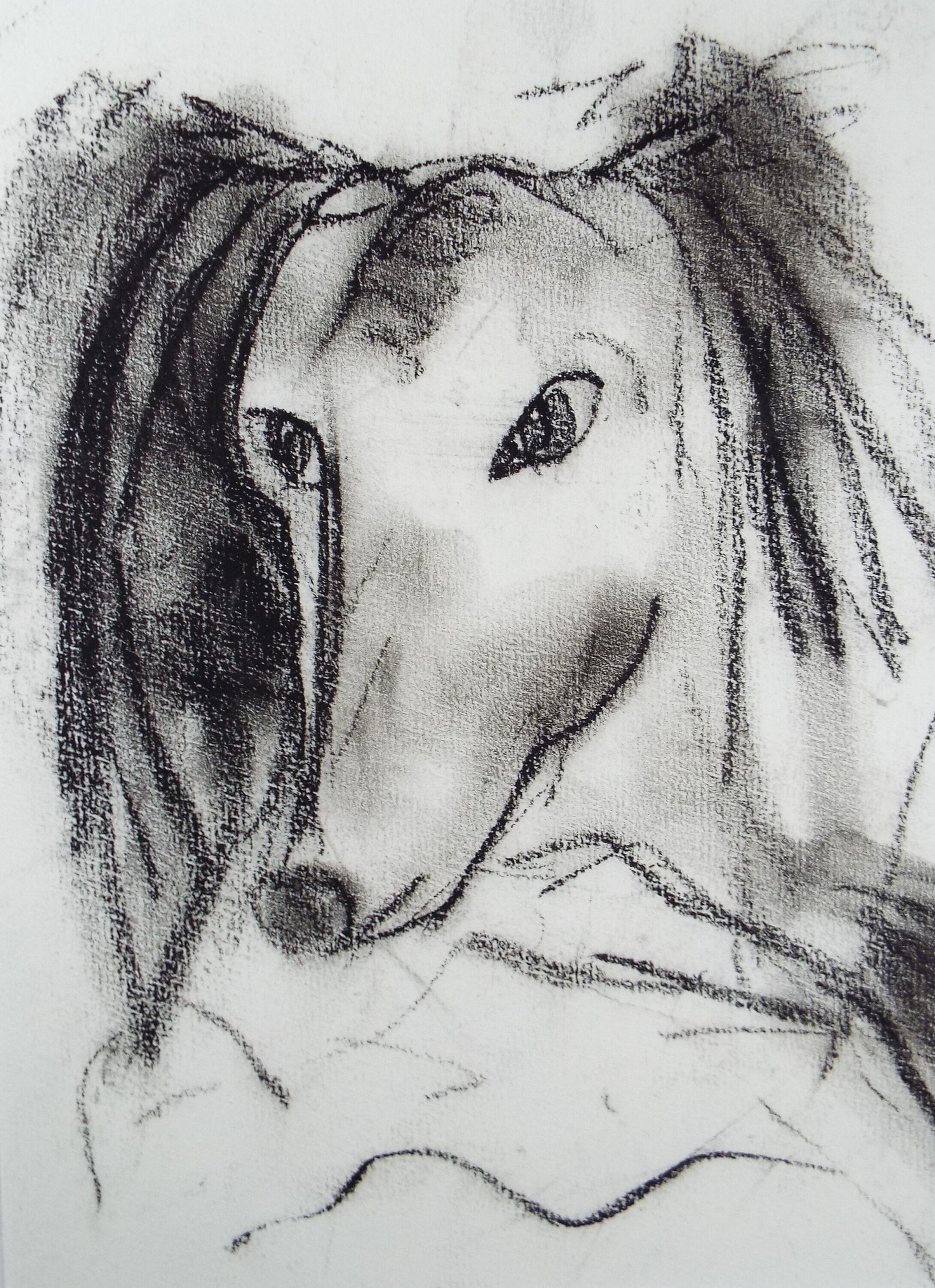 Barbara Karn (b1949) Original Charcoal Drawing ,'Portrait of a Hound', Circa 2000, Signed below the mount