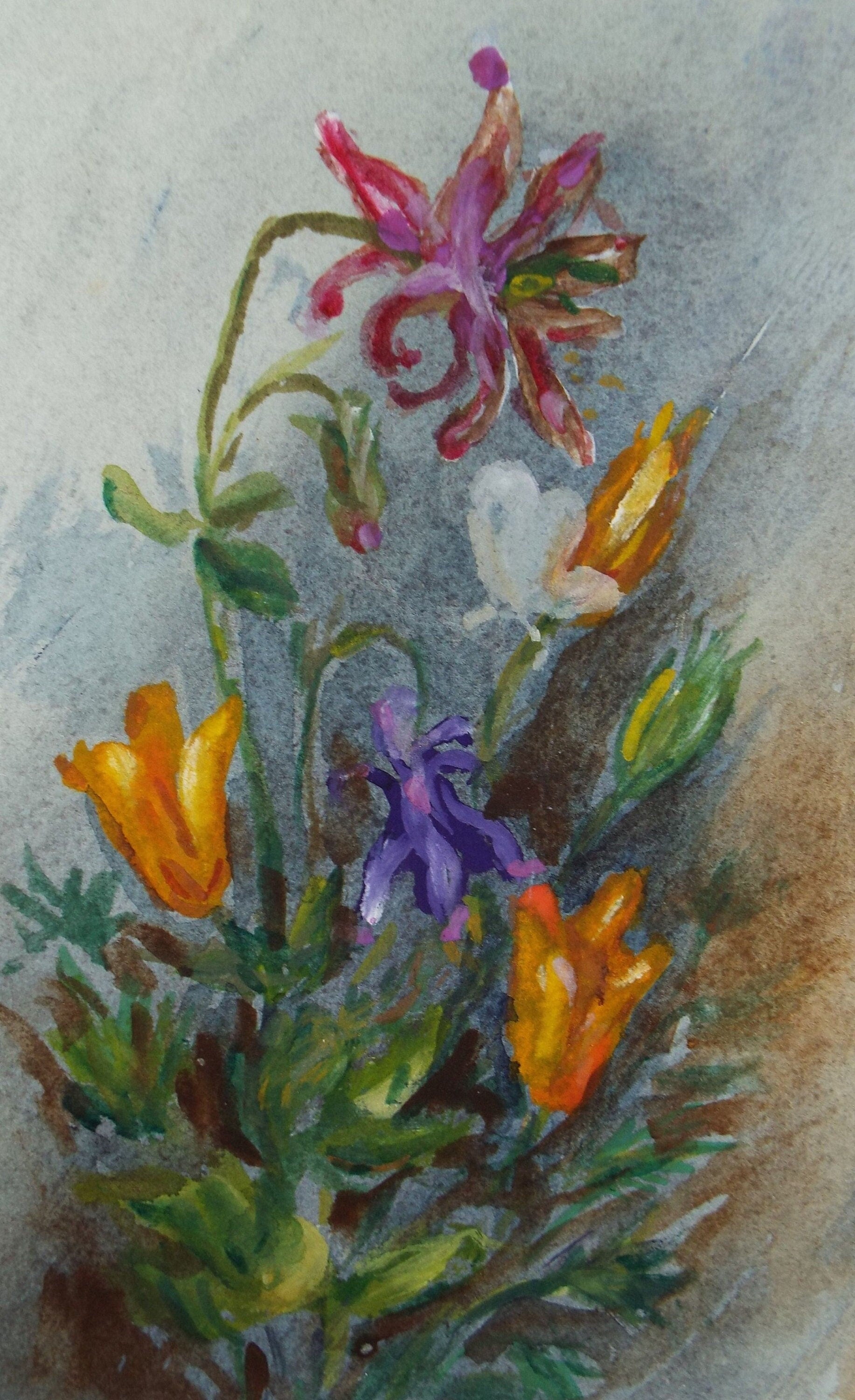 Original Watercolour, 'Flower Study', Circa 1950's, Indistinctly Signed