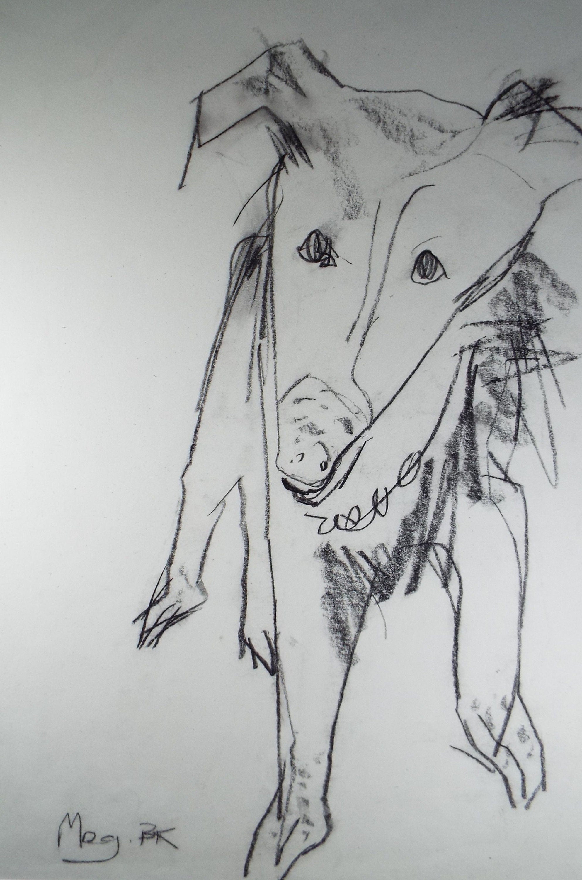 Barbara Karn (b1949) Original Charcoal/Conte Drawing ,'Meg- Portrait of a Terrier', Circa 2000, Signed lower left.