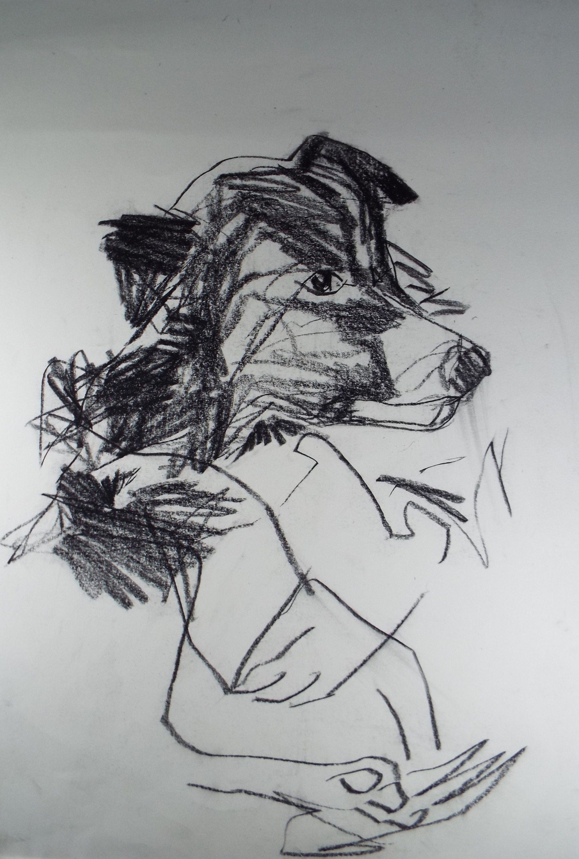 Barbara Karn (b1949) Original Charcoal/Conte Drawing ,'Portrait of a Terrier', Circa 2000