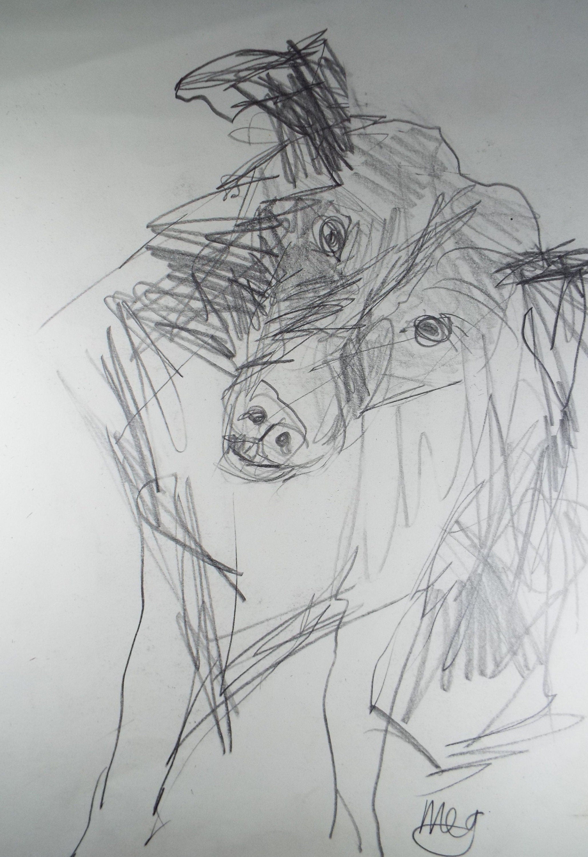 Barbara Karn (b1949) Original Pencil Drawing ,'Meg- Portrait of a Terrier', Circa 2000