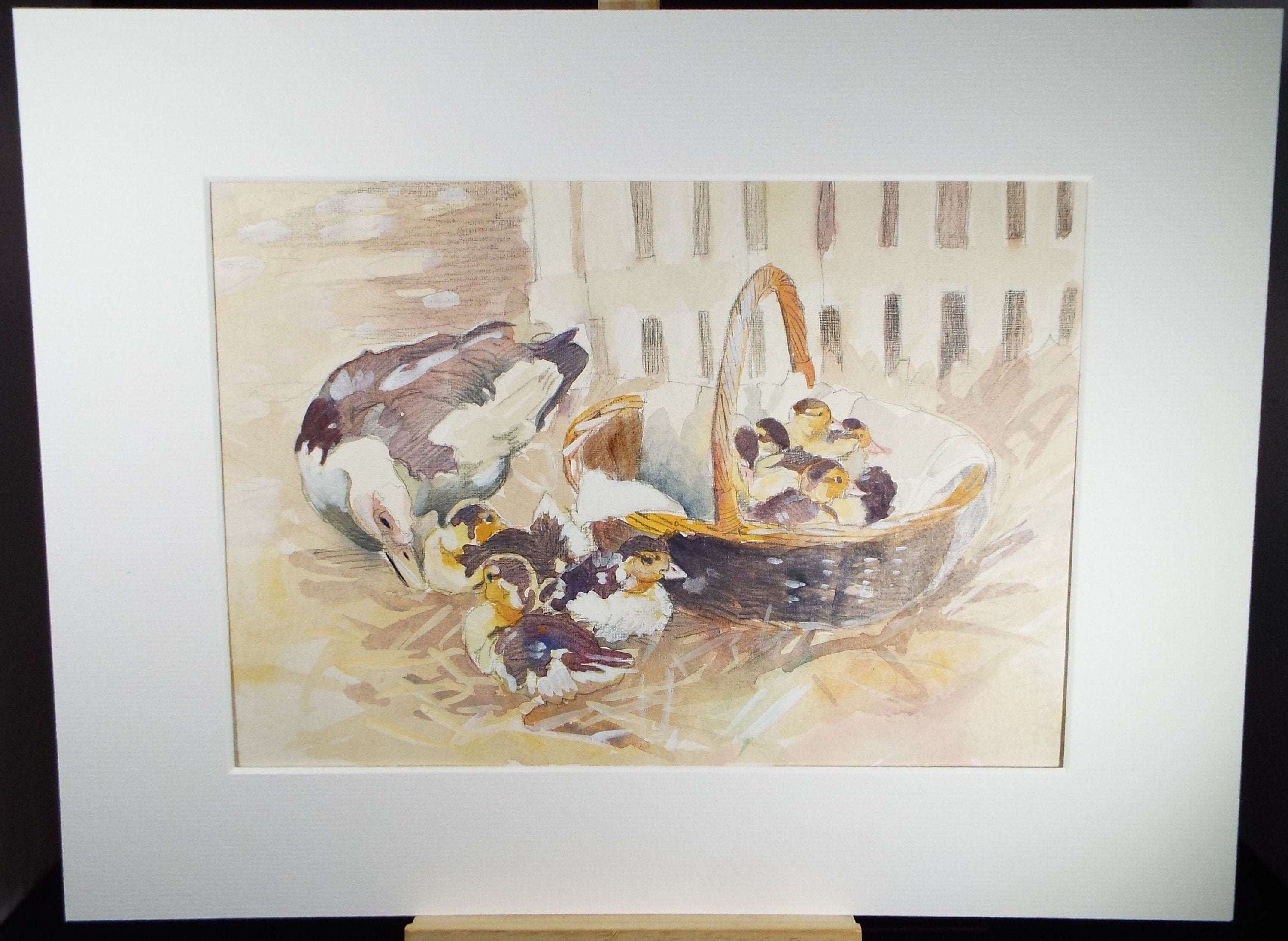 Original Watercolour, 'Basket of Muscovy Ducklings', c1990's, Wendy Stevenson