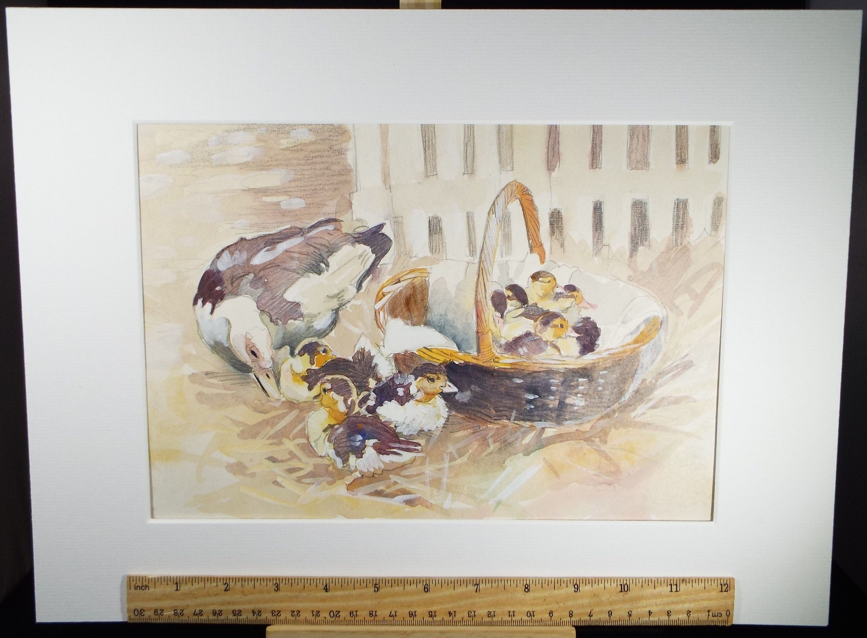 Original Watercolour, 'Basket of Muscovy Ducklings', c1990's, Wendy Stevenson