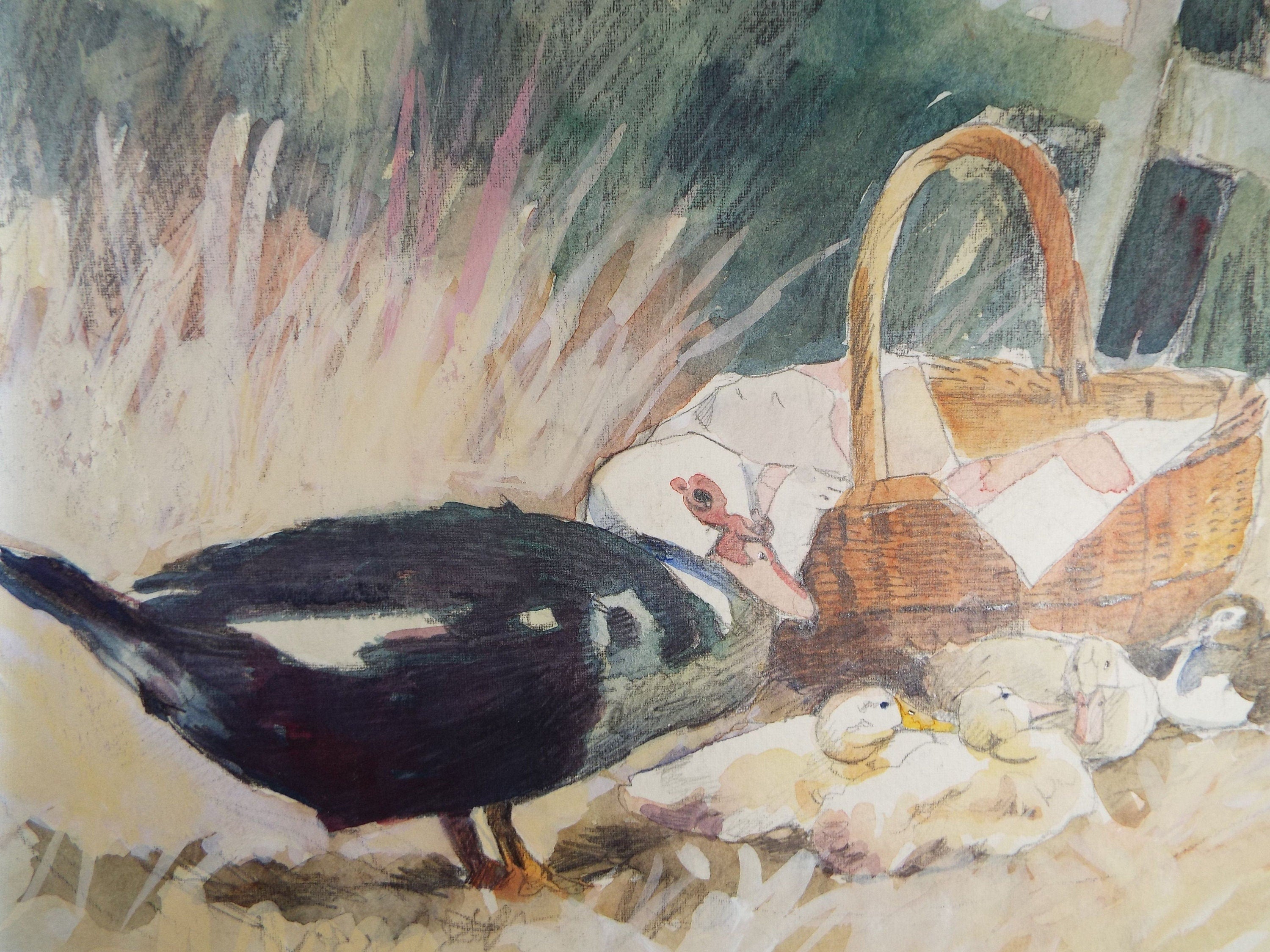 Original Watercolour, 'Muscovy Duck & Ducklings', c1990's, Wendy Stevenson