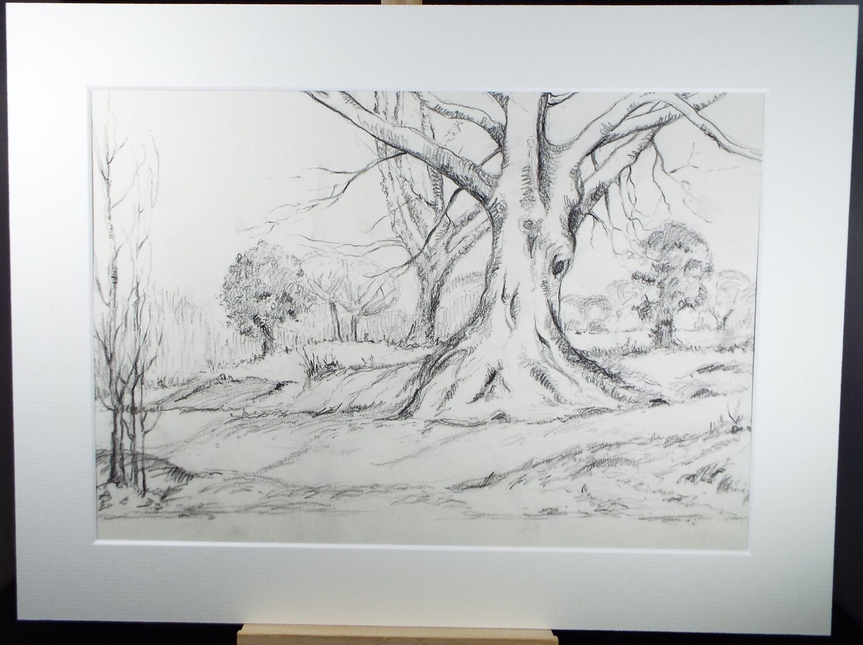 Original Charcoal, 'Woodland', Circa 1930's , Frank Harold Read FRPS (1881-1960)