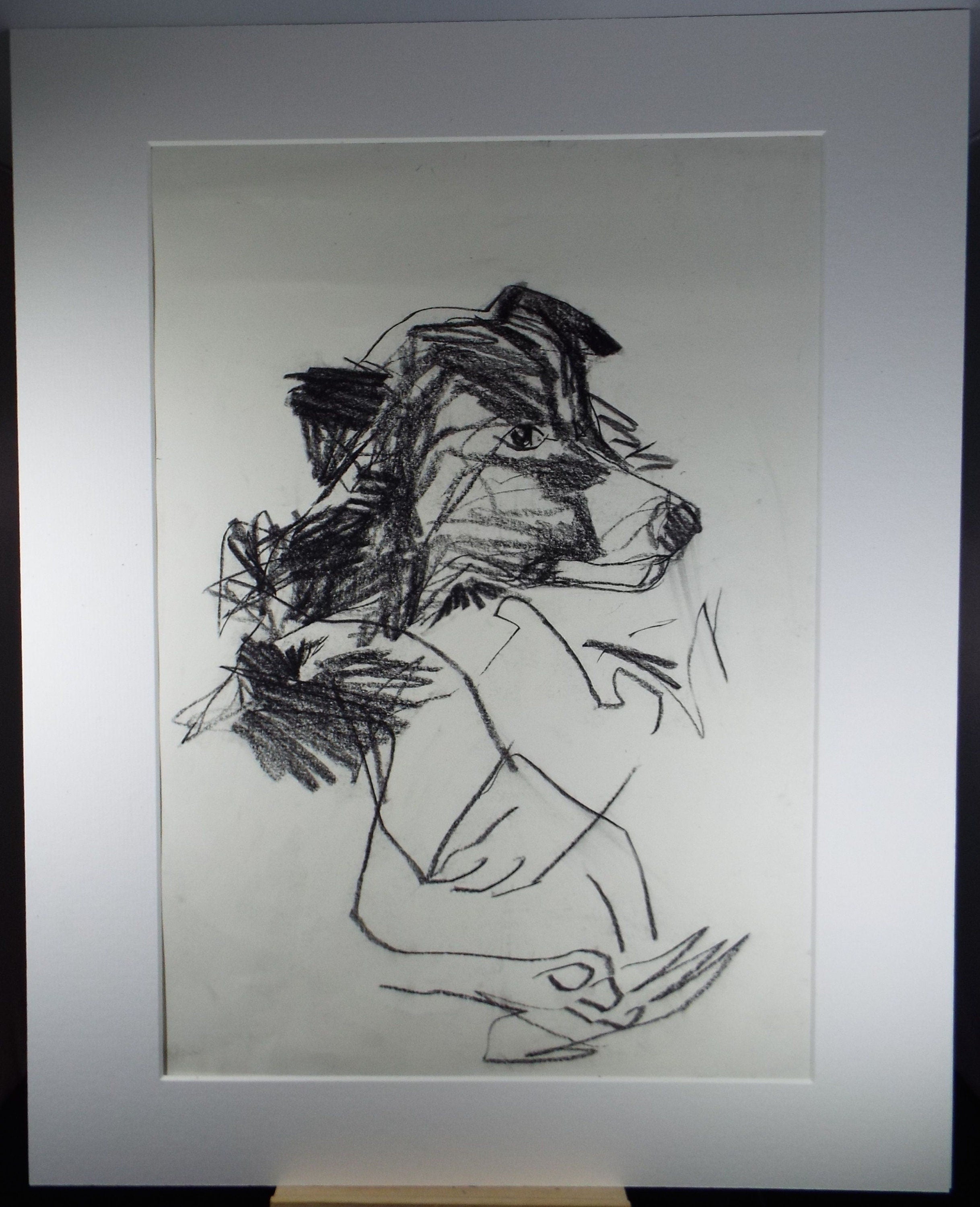 Barbara Karn (b1949) Original Charcoal/Conte Drawing ,'Portrait of a Terrier', Circa 2000