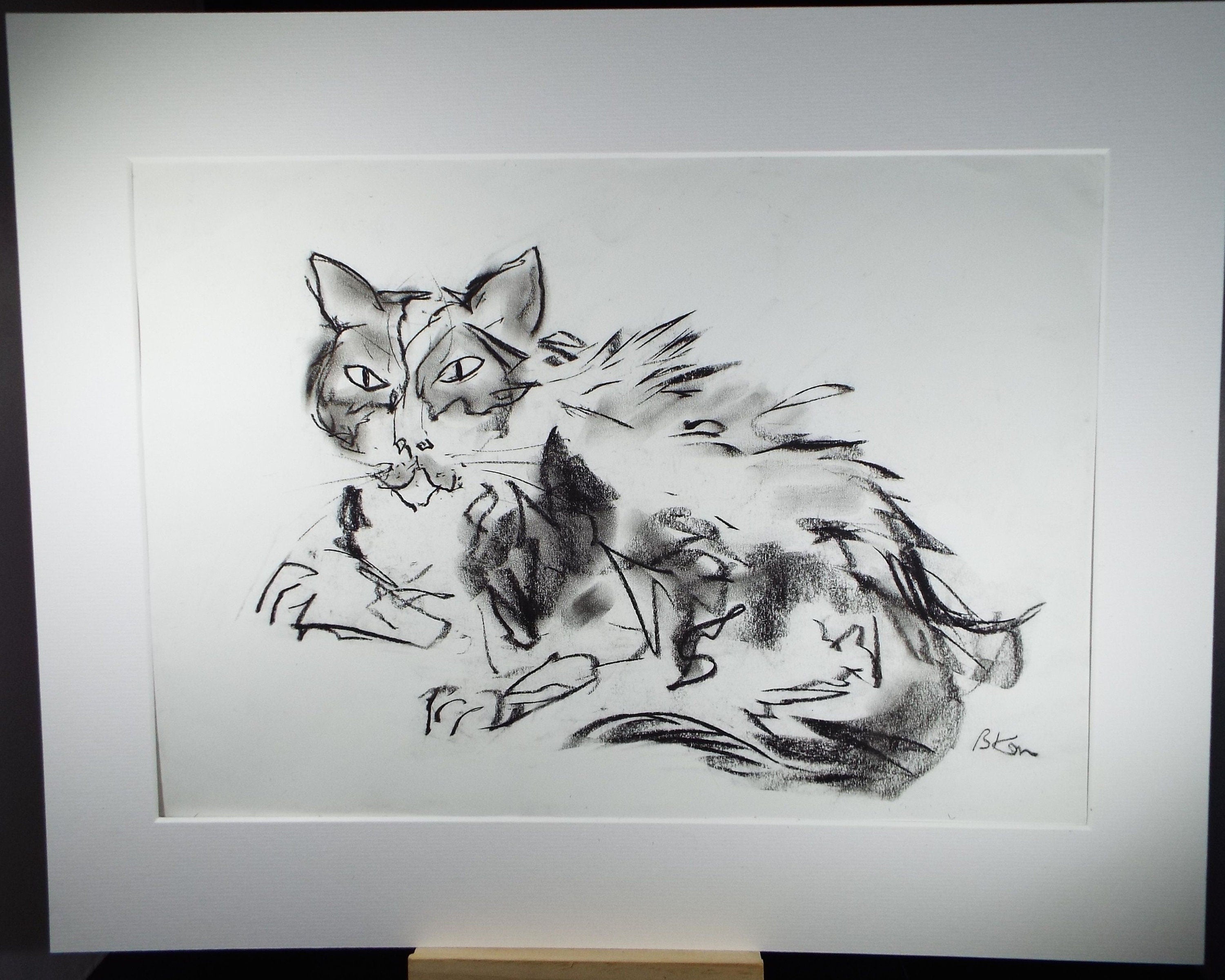 Barbara Karn (b1949) Original Charcoal/Conte Drawing ,'Portrait of a Cat', Circa 2000