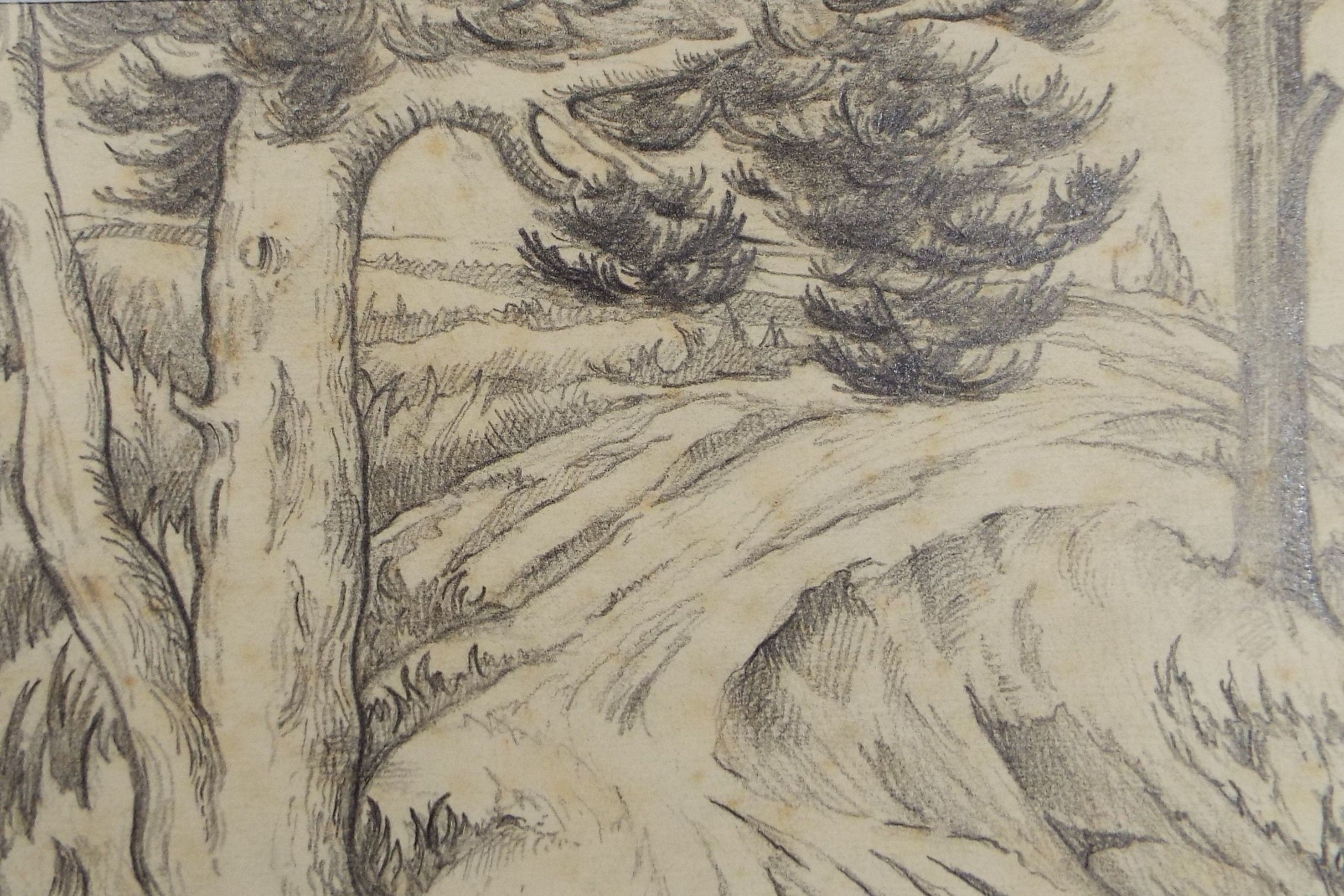 Original Pencil, 'Woodland Clearing', Circa 1930's , Frank Harold Read FRPS (1881-1960)