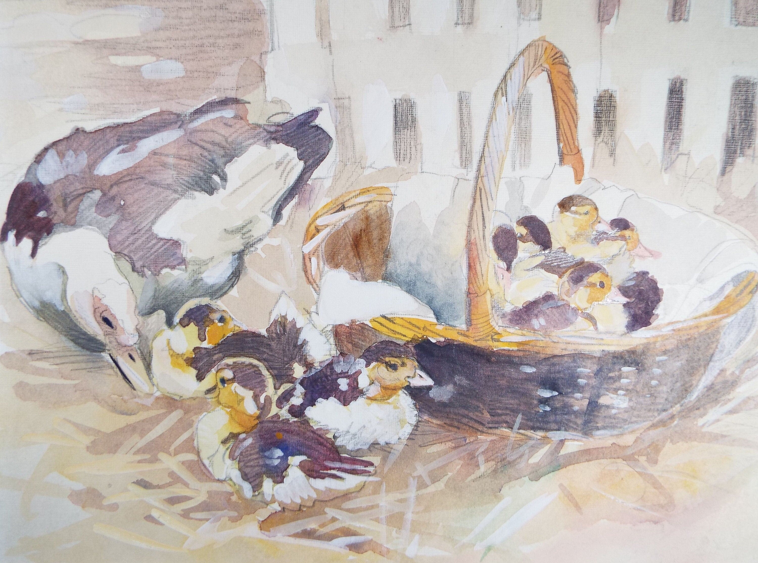 Original Watercolour, 'Basket of Muscovy Ducklings', c1990's, Wendy Stevenson