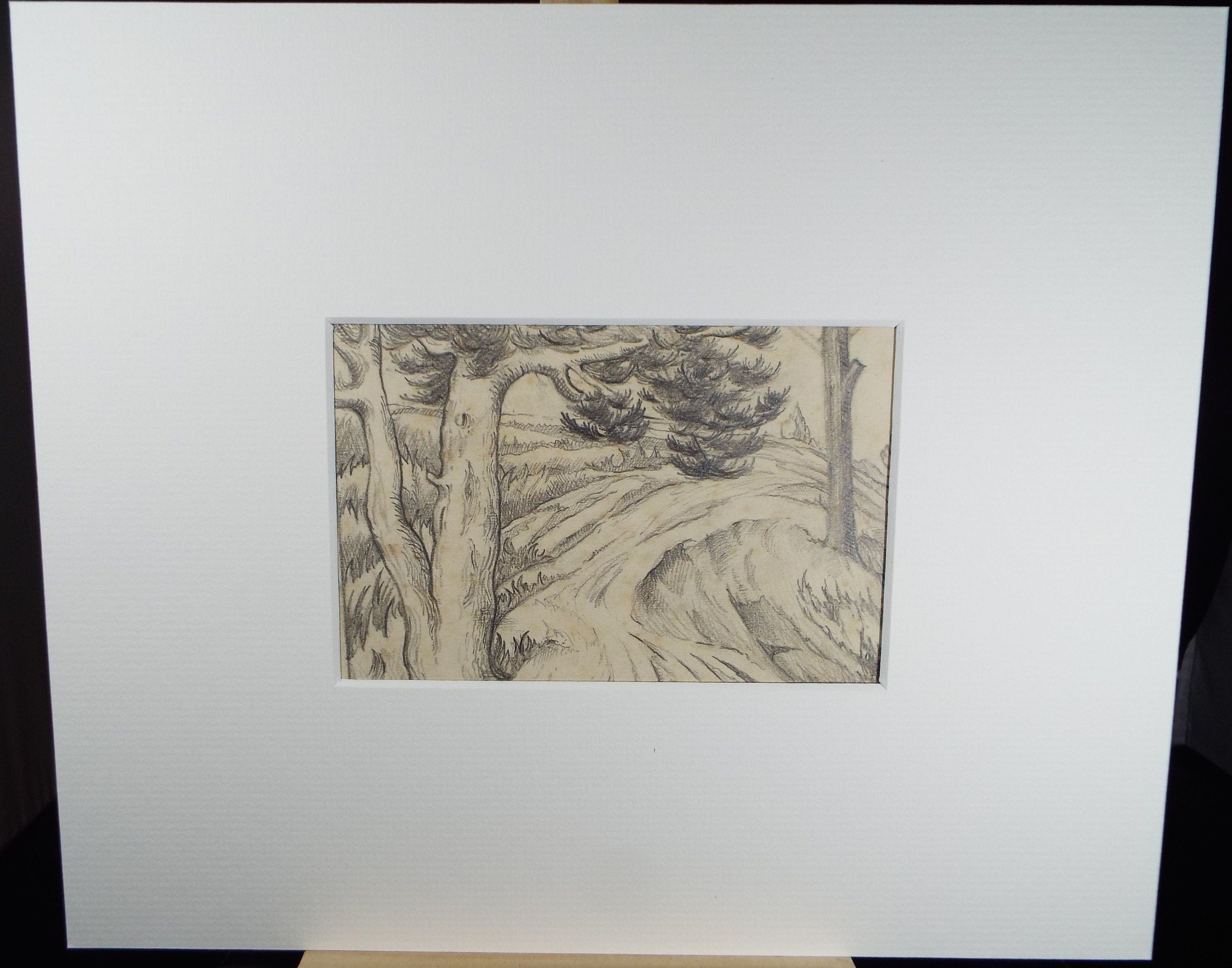 Original Pencil, 'Woodland Clearing', Circa 1930's , Frank Harold Read FRPS (1881-1960)