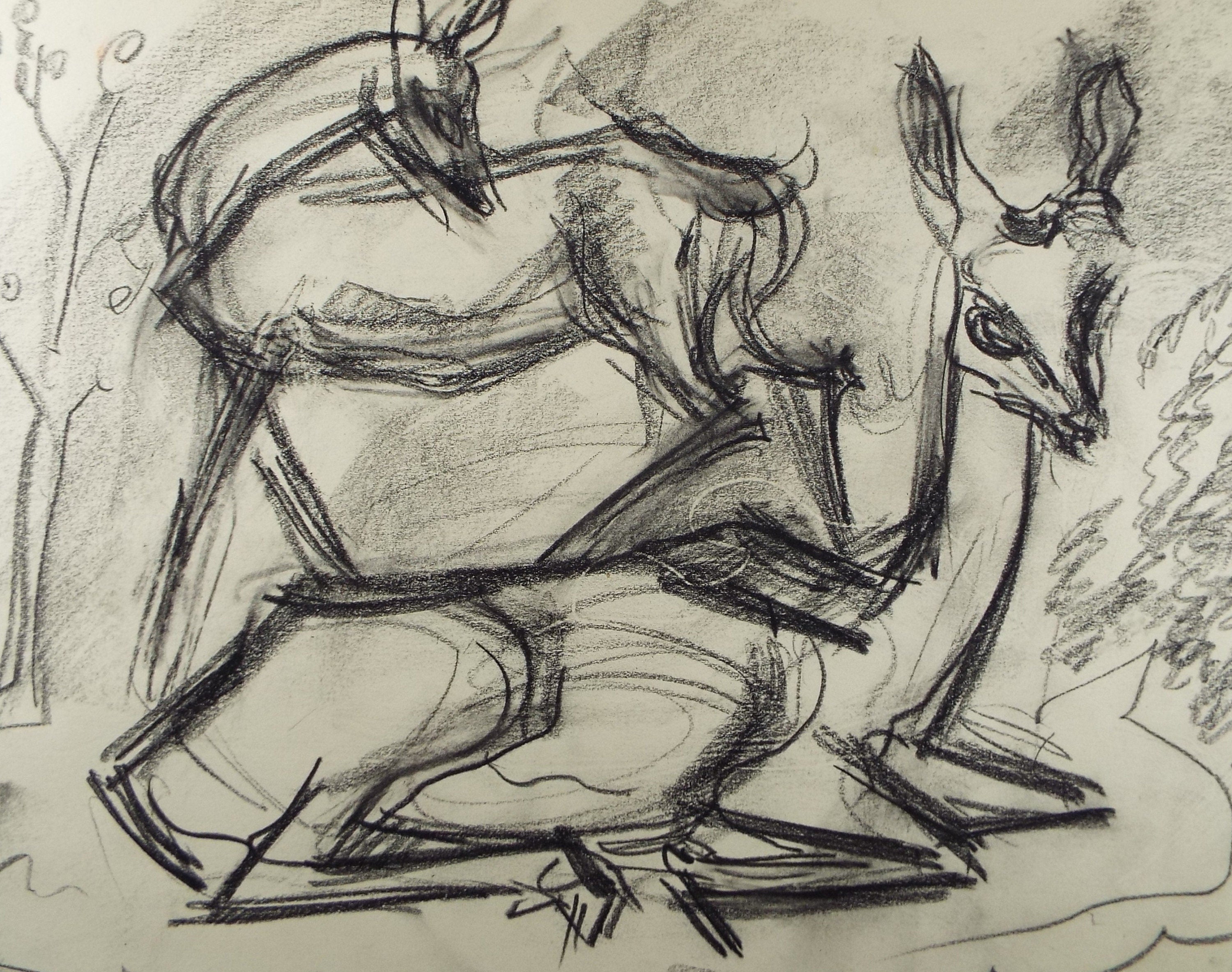 Original Conte Drawing, 'Impala', Dated 1950, Henry Saunders (1918-1982)