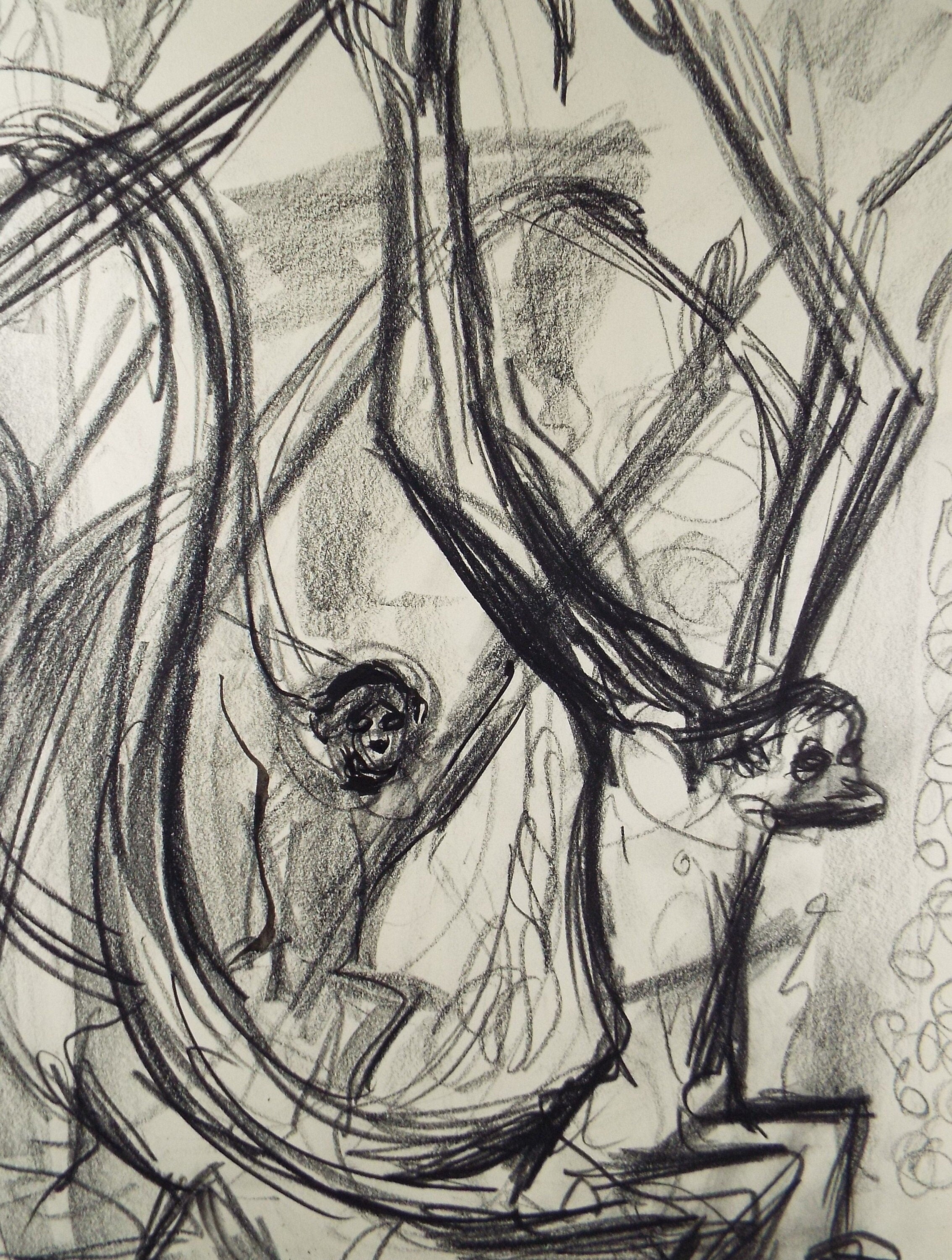 Original Conte Drawing, 'Spider Monkeys', Dated 1950, Henry Saunders (1918-1982)