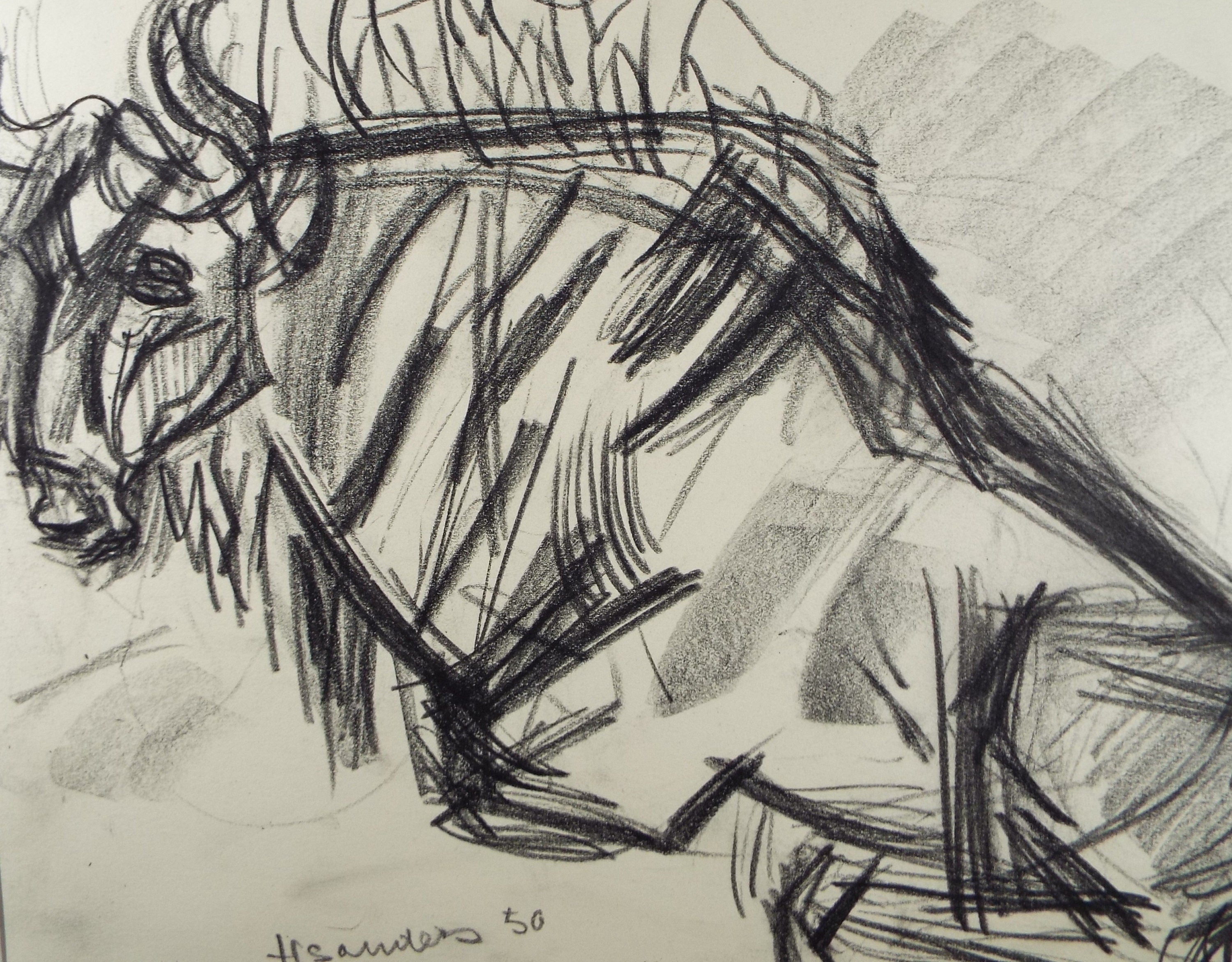 Original Conte Drawing, 'Gnu', Dated 1950, Henry Saunders (1918-1982)