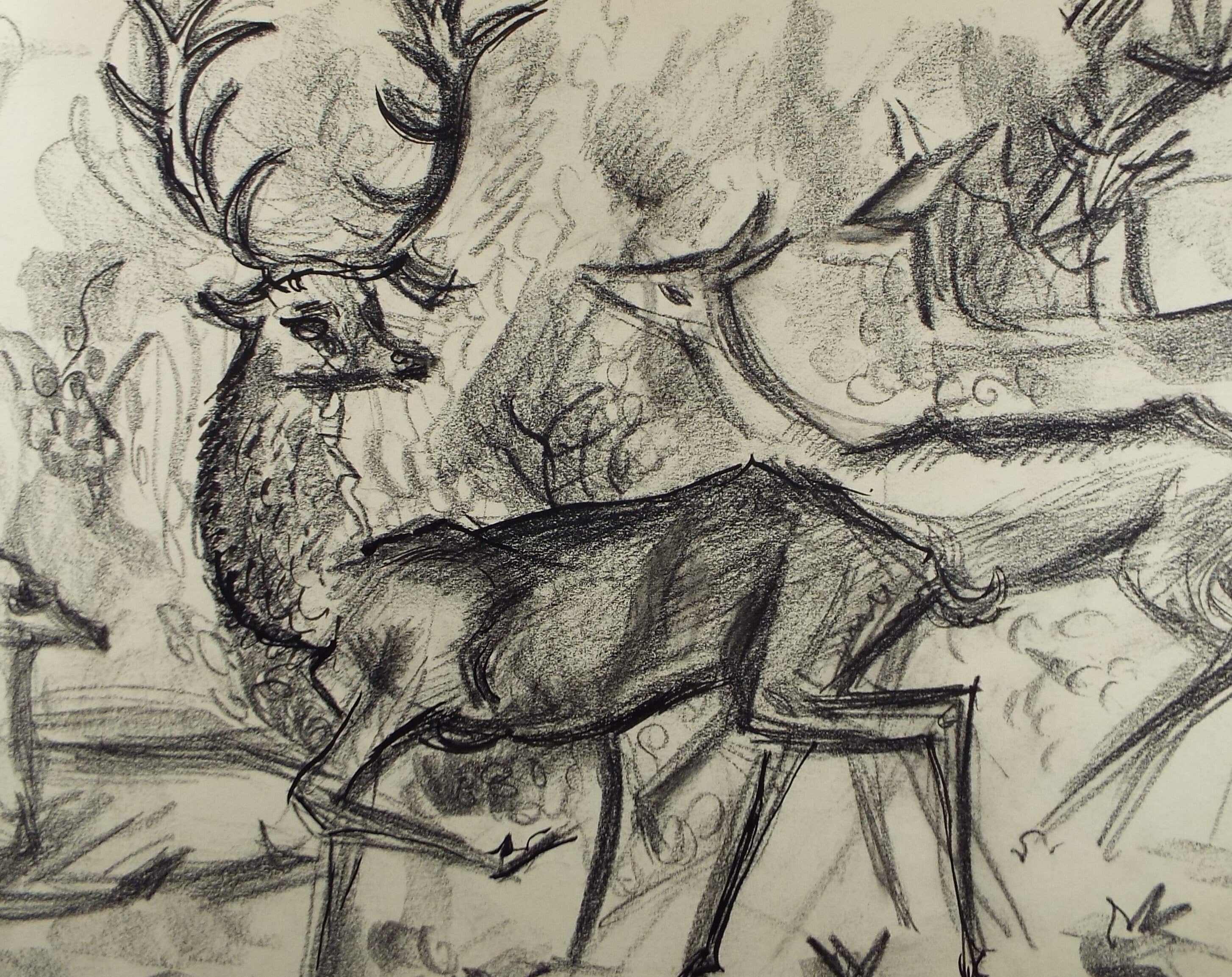 Original Conte Drawing, 'Red Deer', Dated 1950, Henry Saunders (1918-1982)