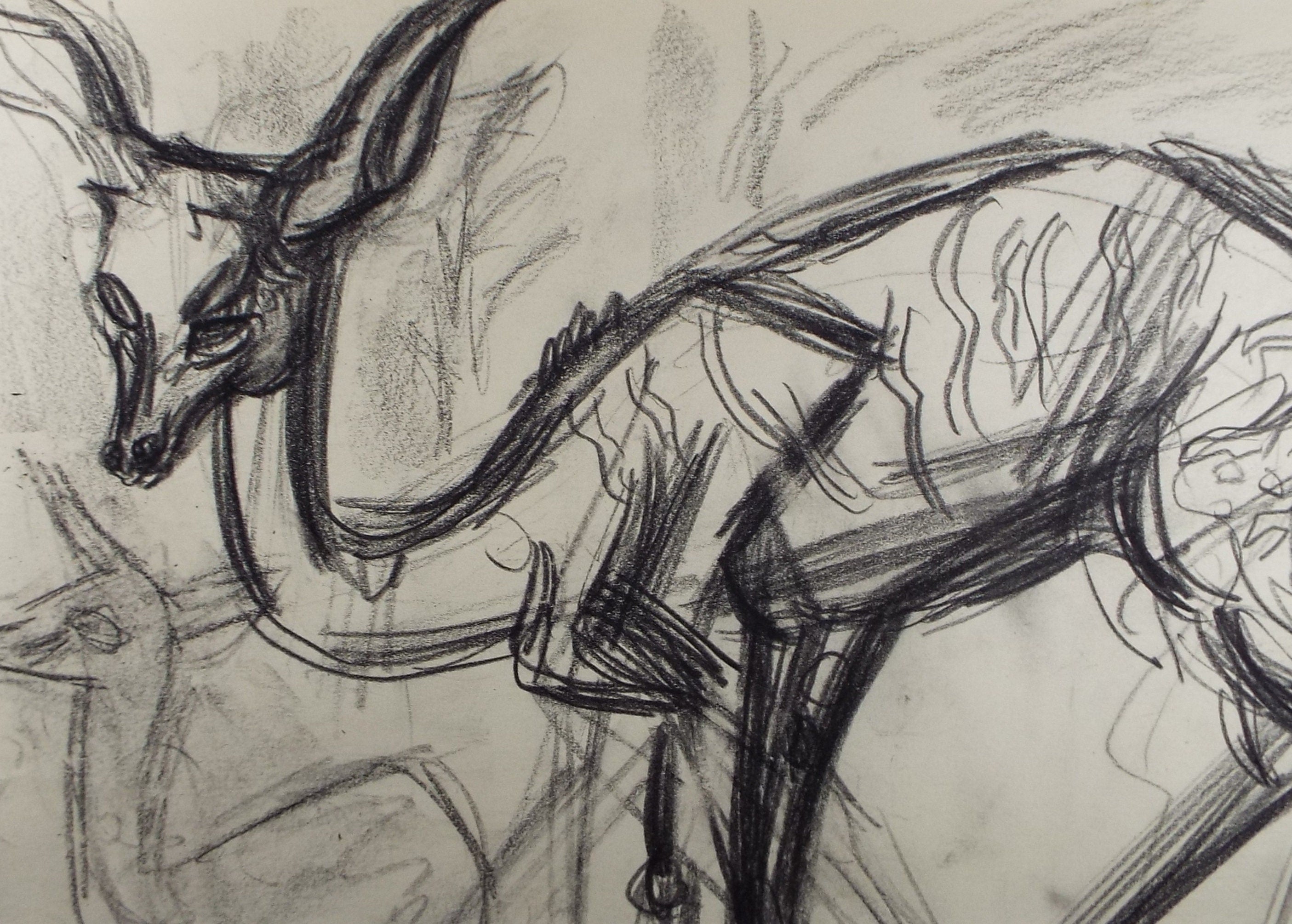 Original Conte Drawing, 'Lesser Kudu', Dated 1950, Henry Saunders (1918-1982)