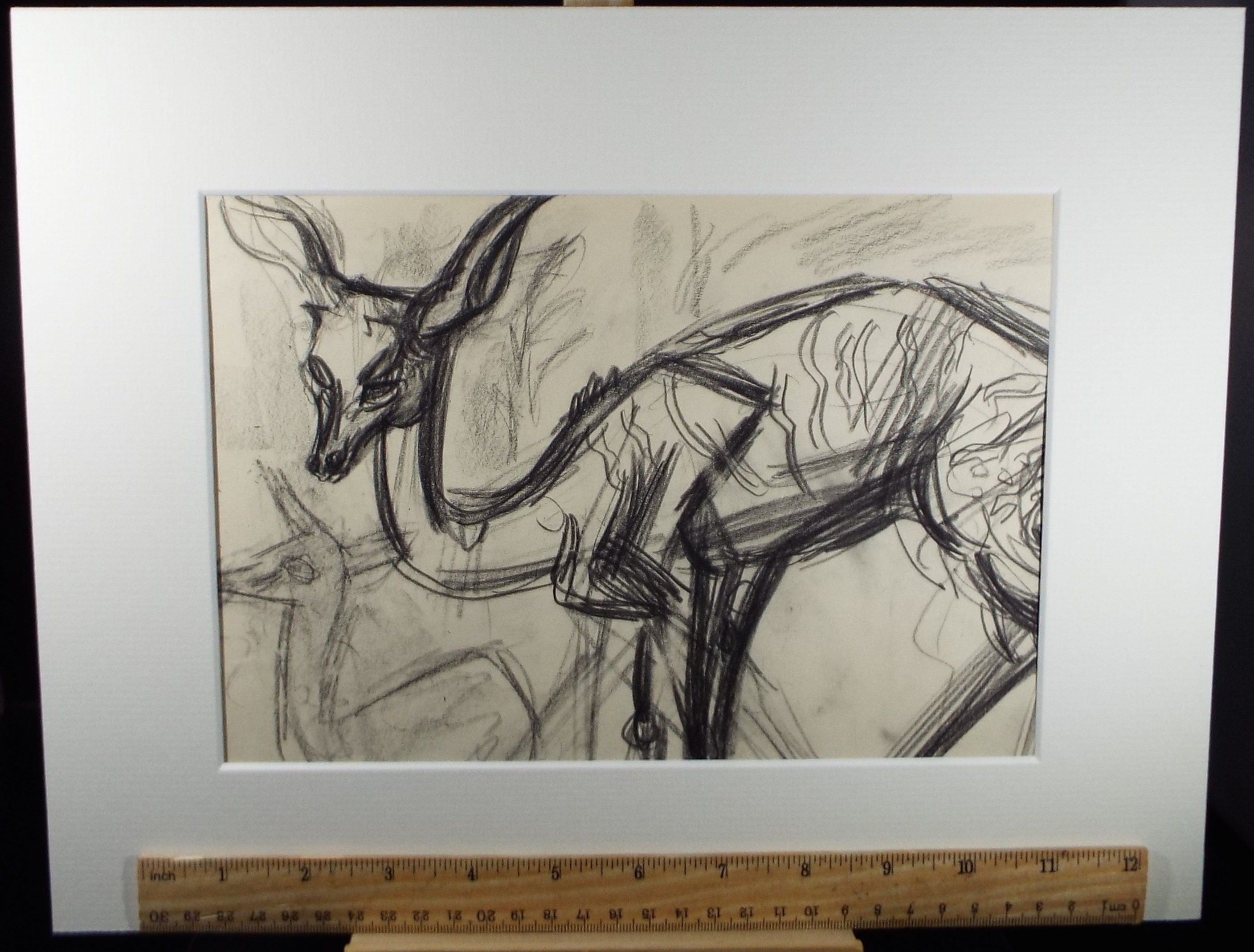 Original Conte Drawing, 'Lesser Kudu', Dated 1950, Henry Saunders (1918-1982)