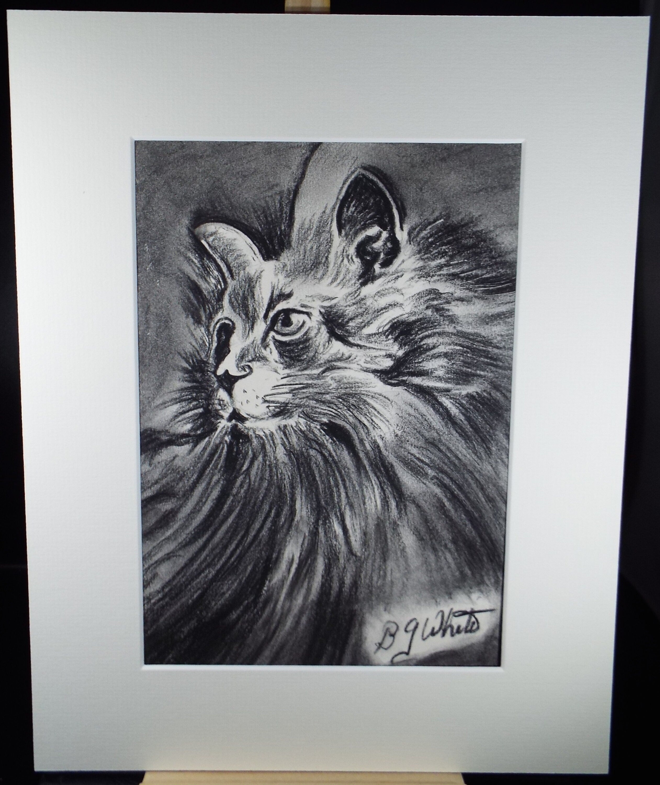 Pencil Drawing and Conte, 'Portrait of a Cat', Circa 1980's, B G White