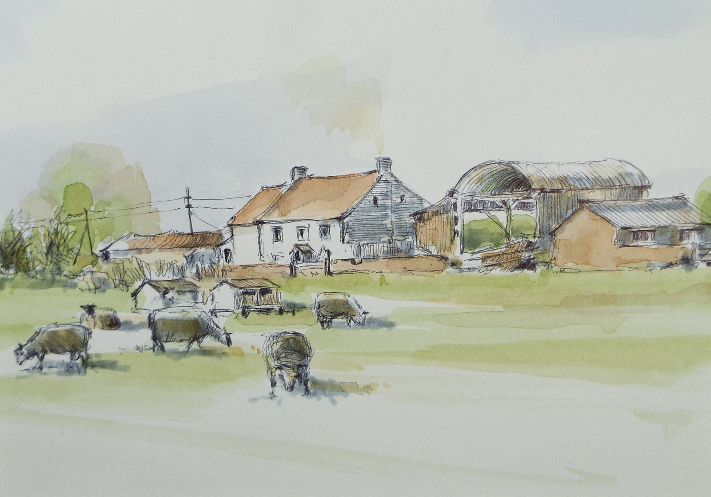 Original Watercolour & Ink, 'Sheep with Farm Buildings', Circa 1990's ,  Artist Unknown